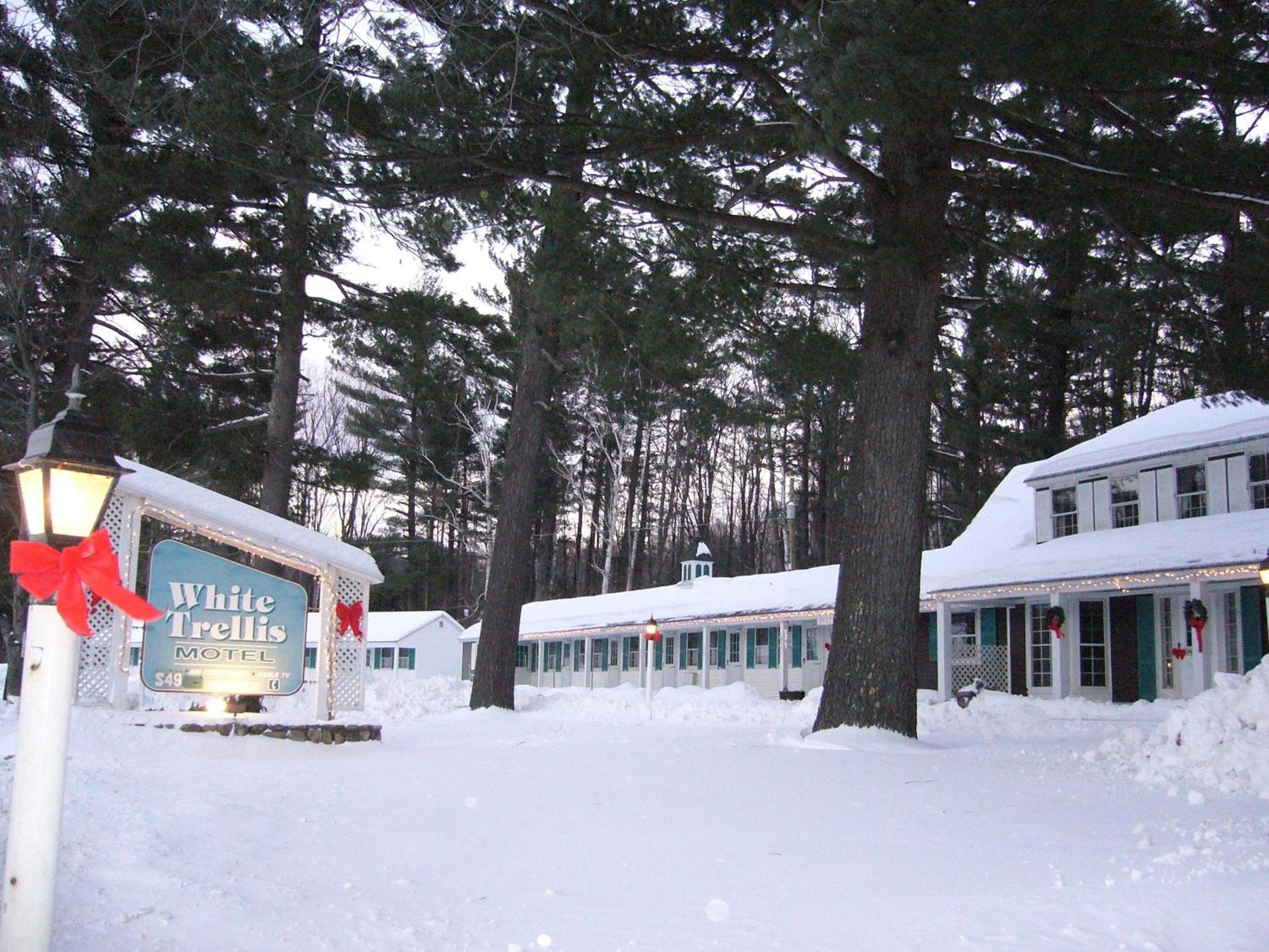 White Trellis Motel photo 1