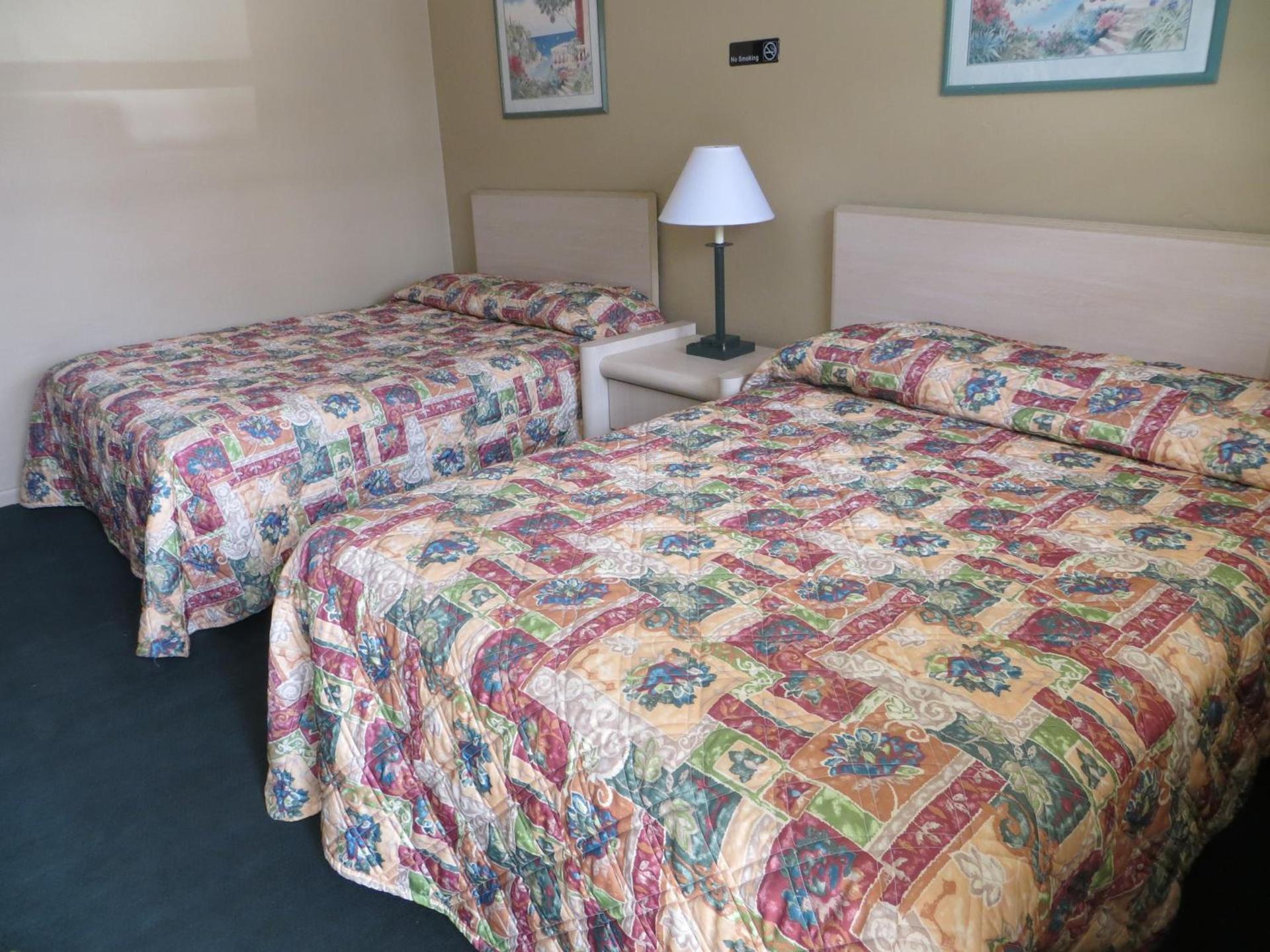 Country Lodge photo 14