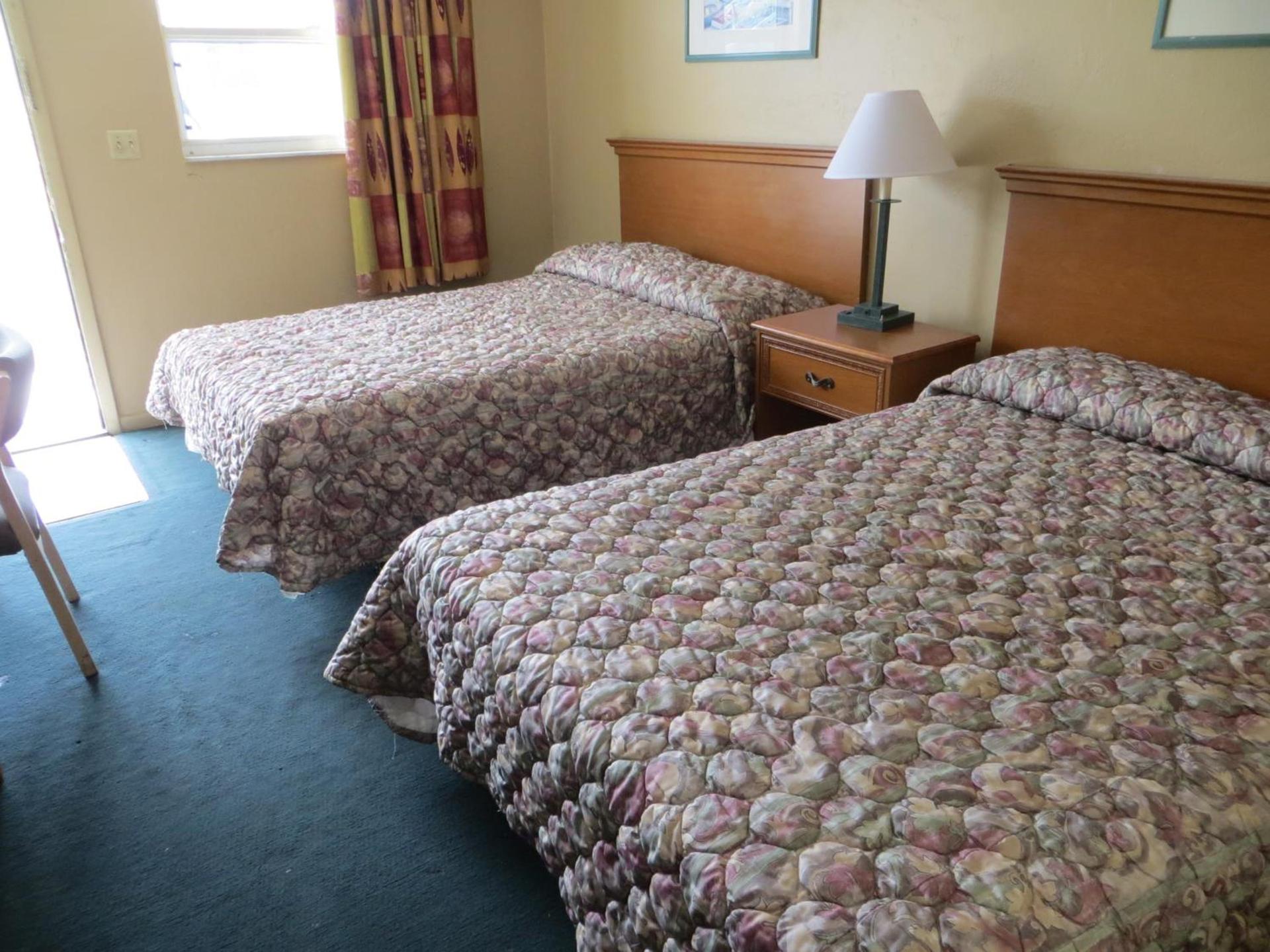 Country Lodge photo 16