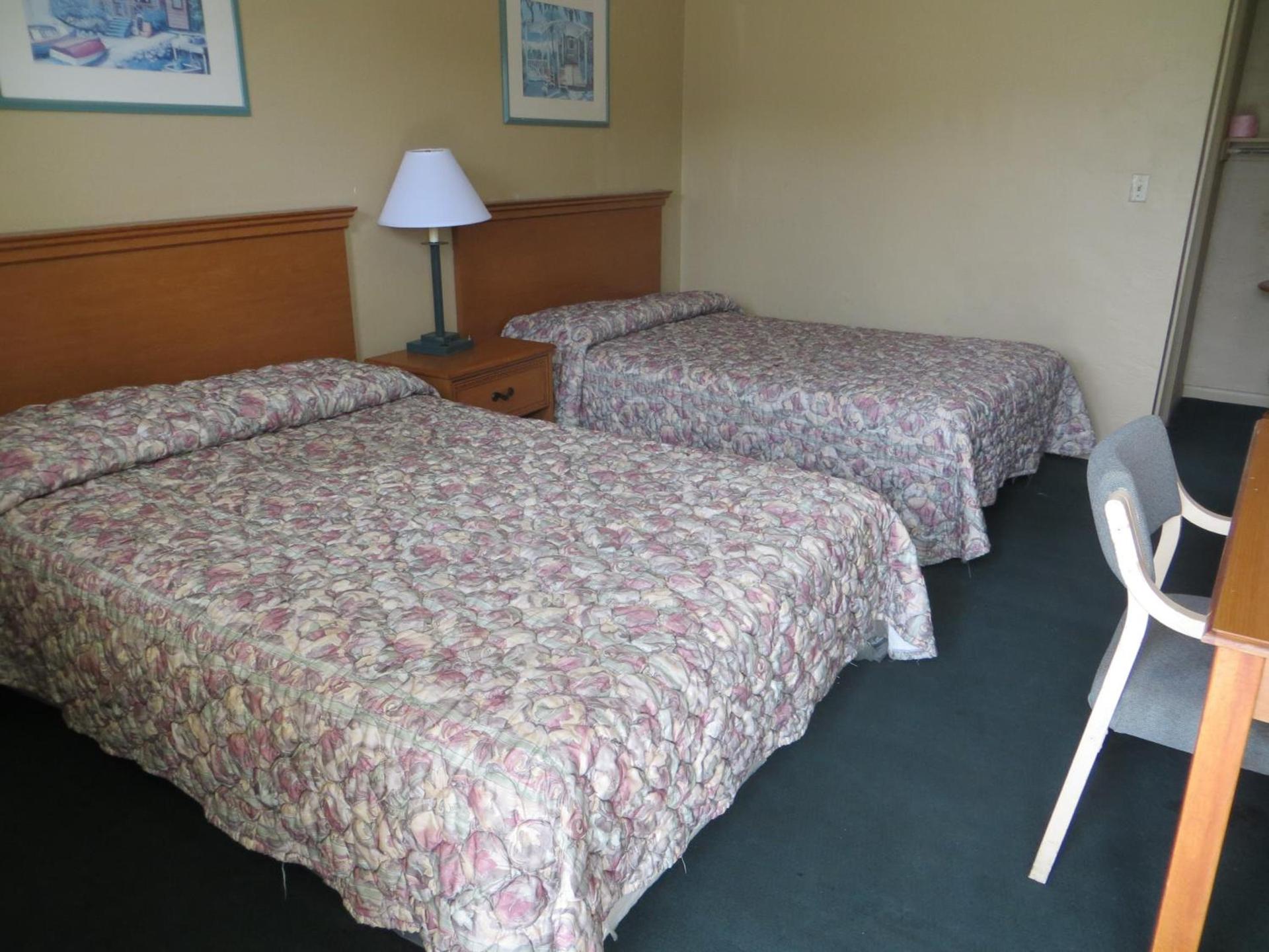 Country Lodge photo 9