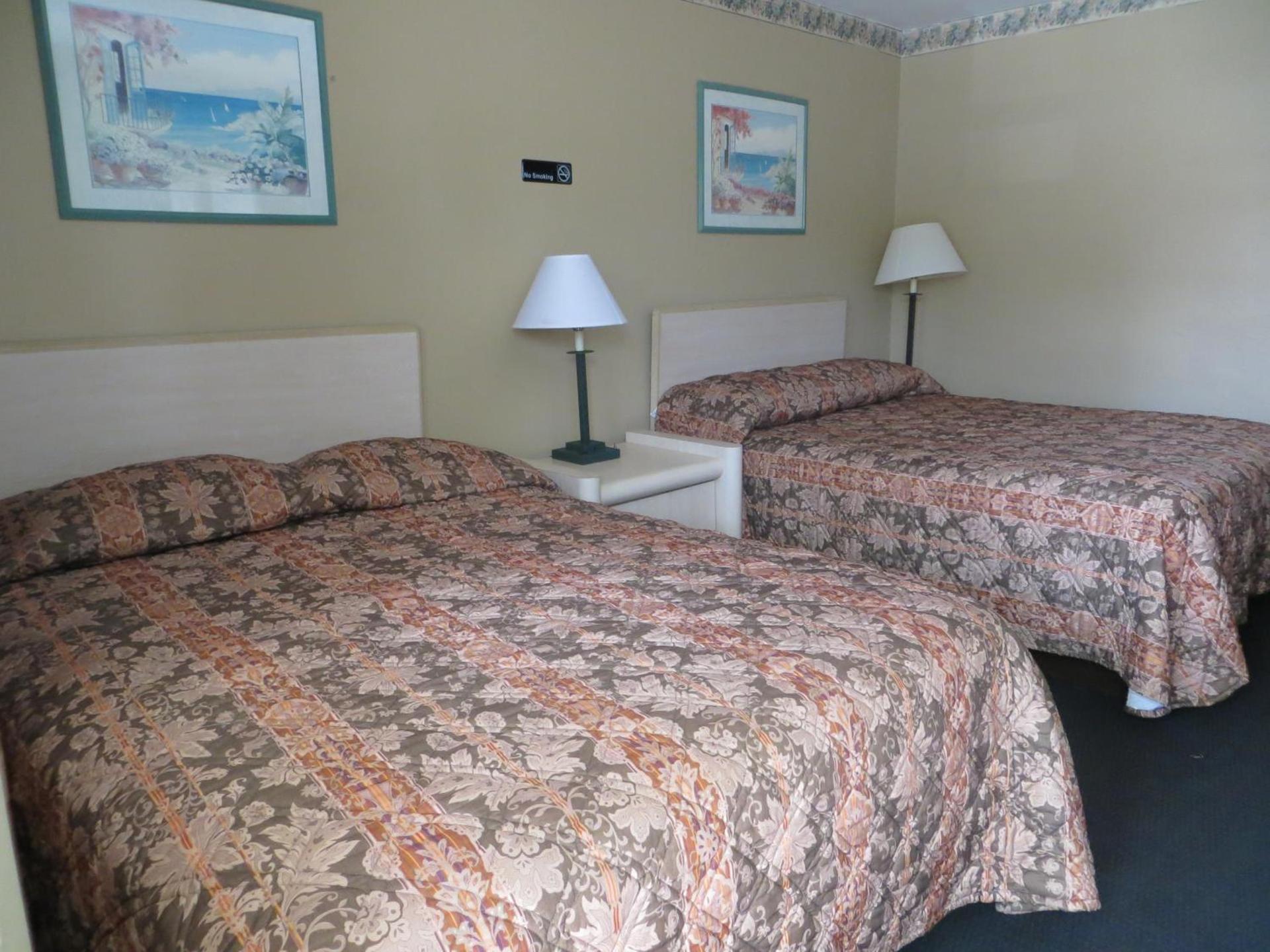 Country Lodge photo 7