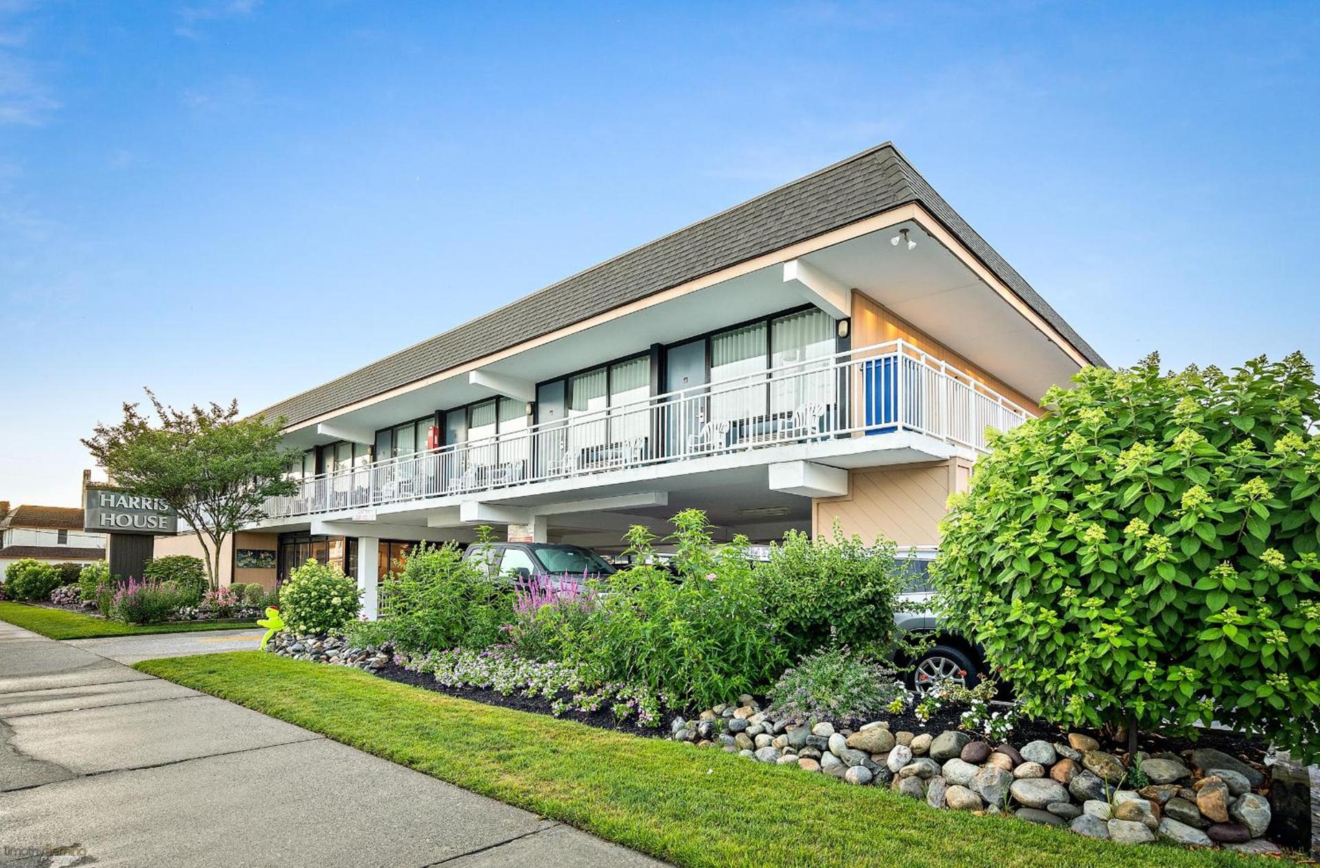 Harris House by the Beach photo 14