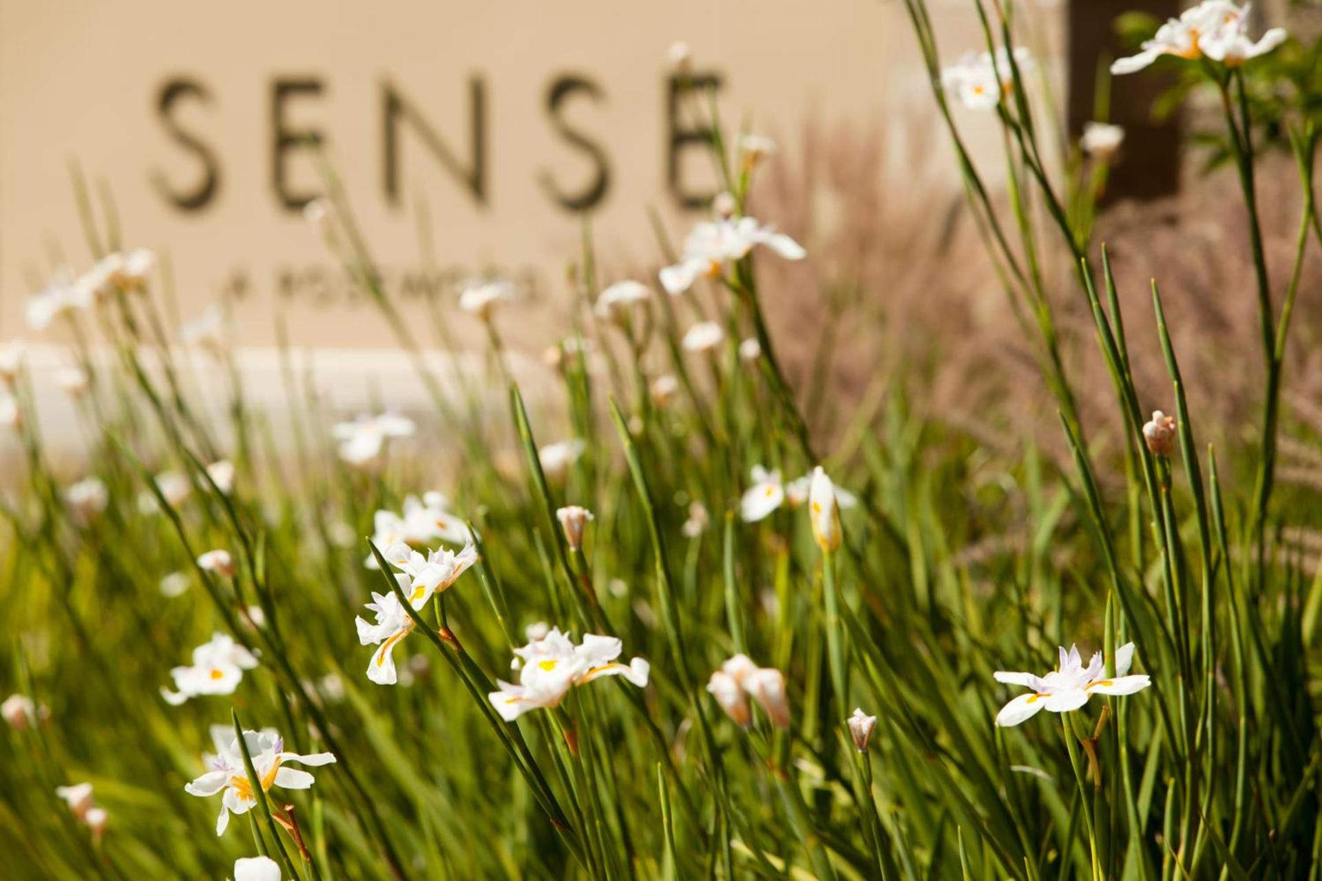 Rosewood Sand Hill photo 8