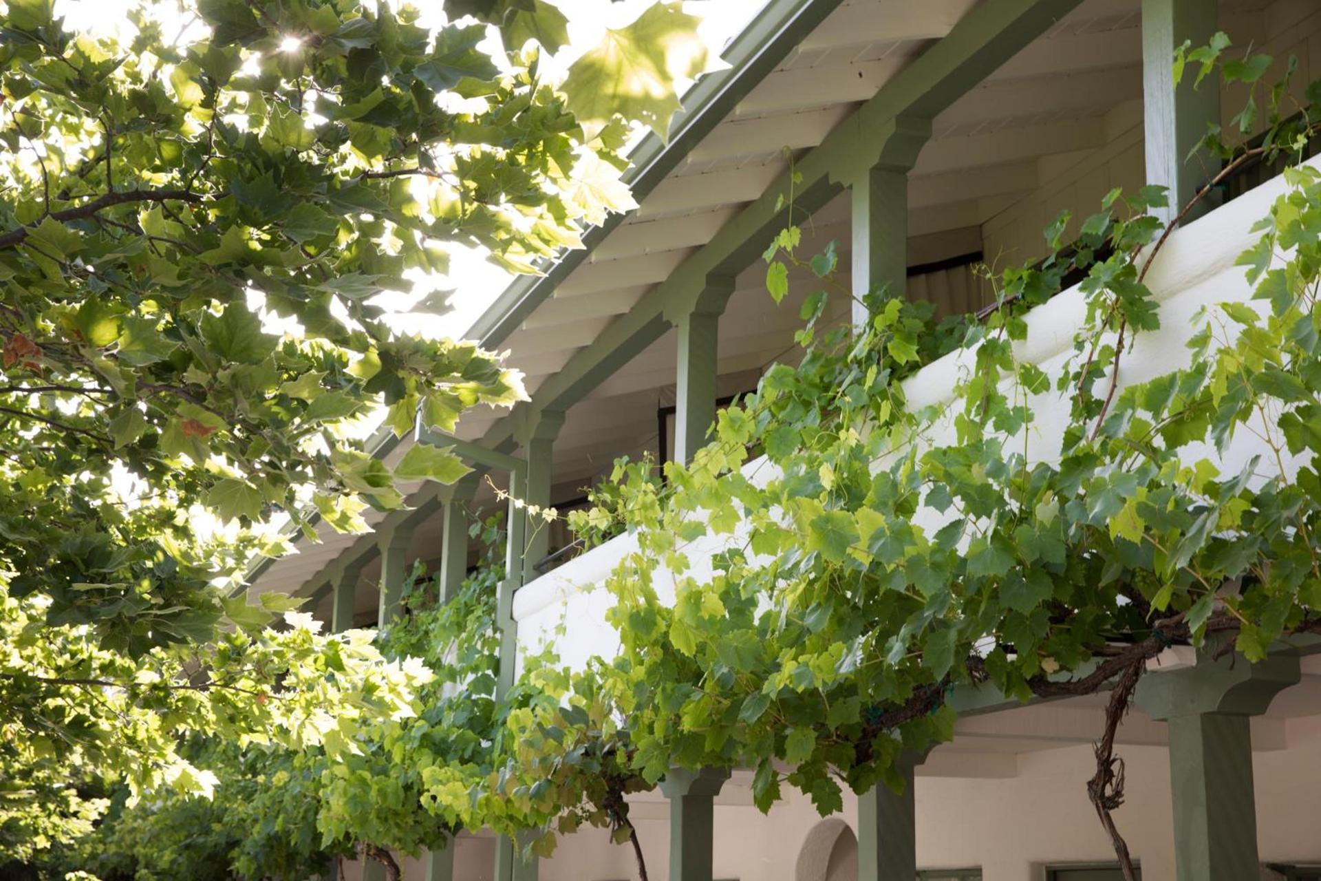 Indian Springs Resort & Spa photo 1