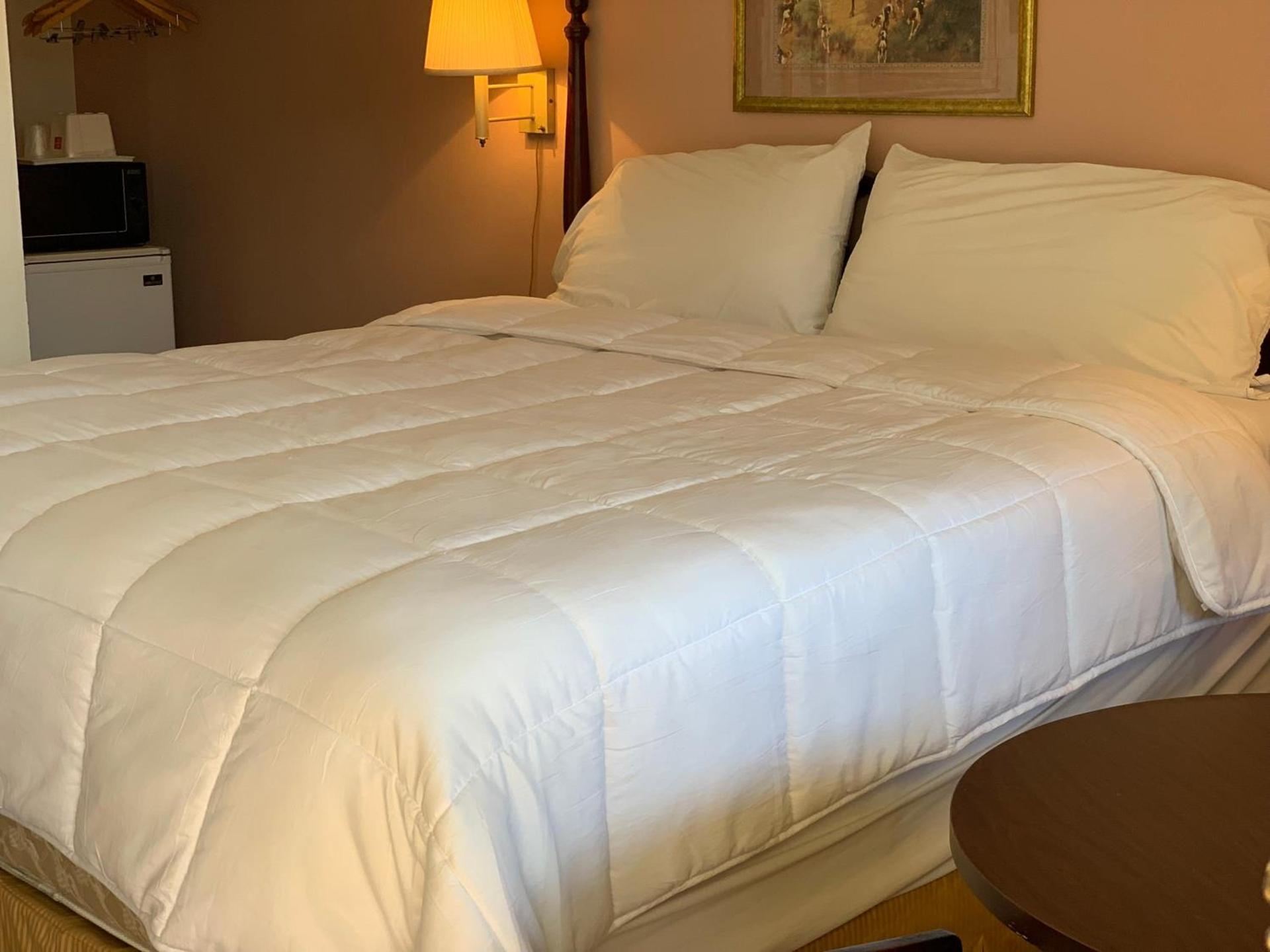 Red Carpet Inn - Gettysburg photo 12