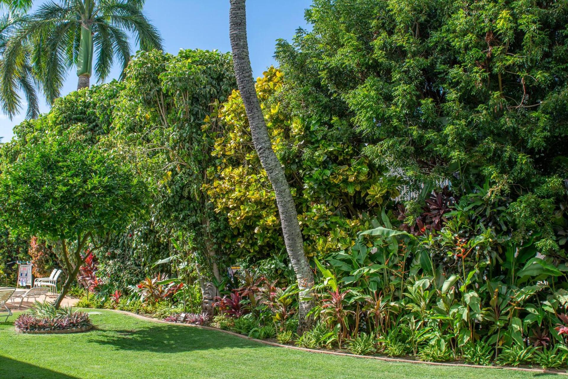 Nāpili Surf Beach Resort by Castle photo 29