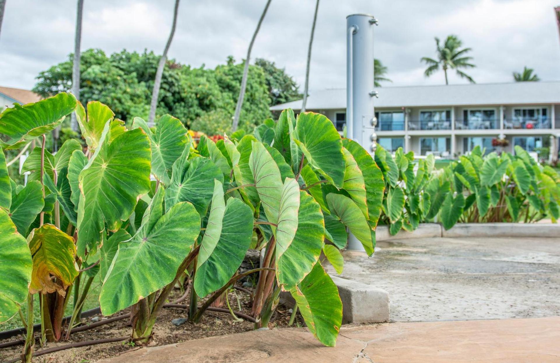 Nāpili Surf Beach Resort by Castle photo 6
