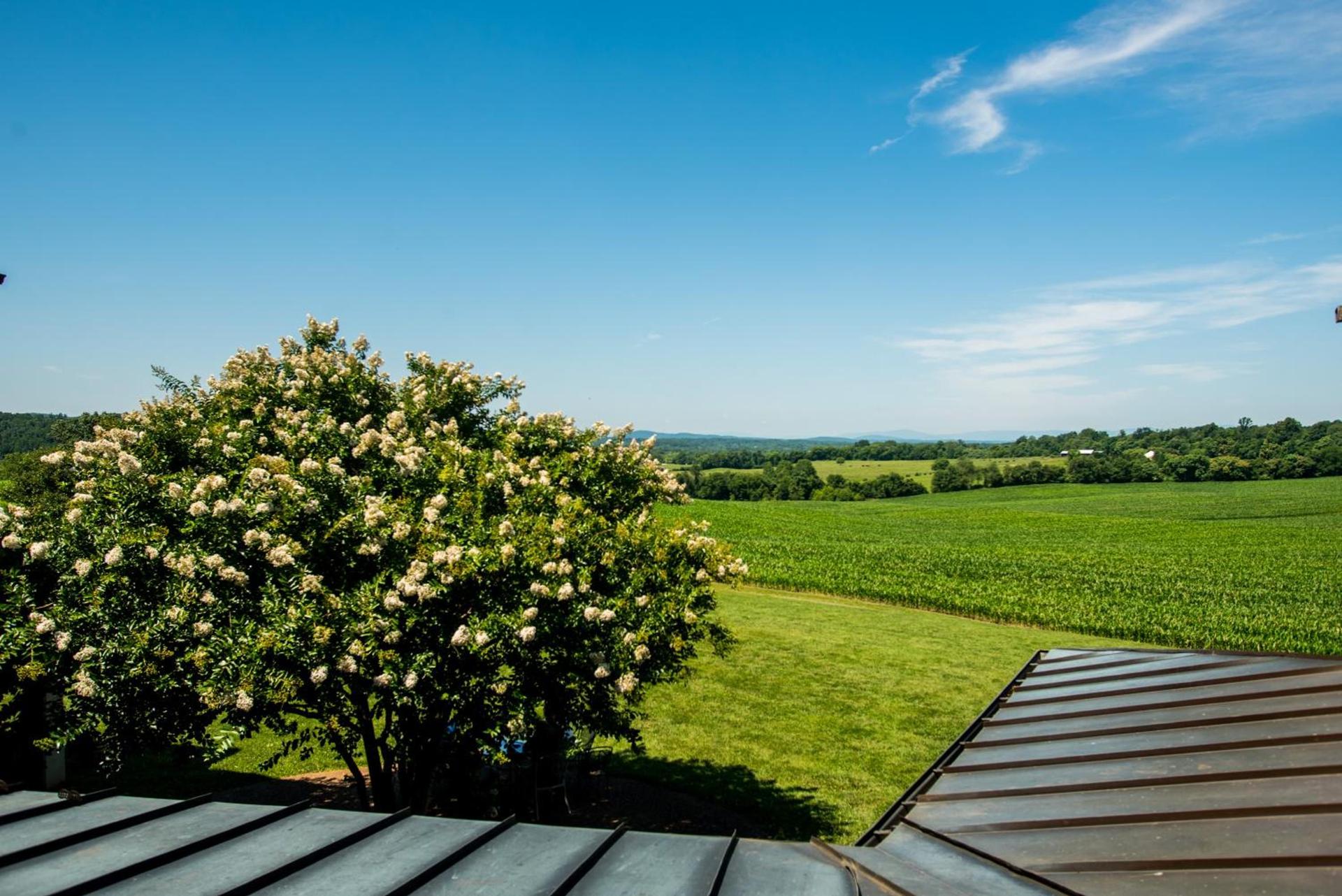 Round Hill Inn photo 24