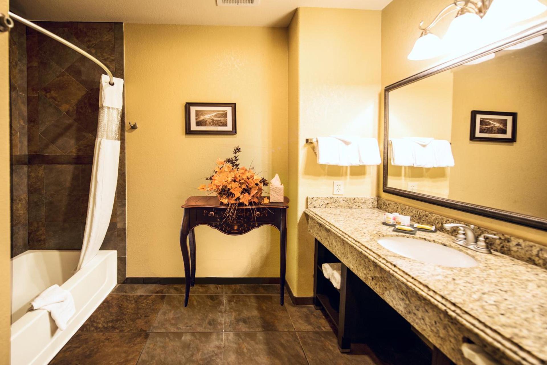 La Quinta by Wyndham Marble Falls photo 83