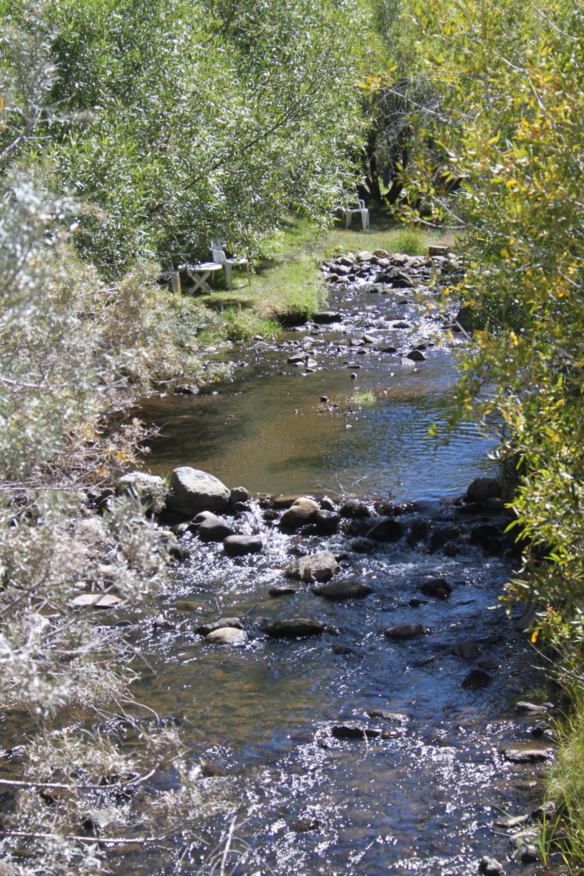 Virginia Creek Settlement photo 20