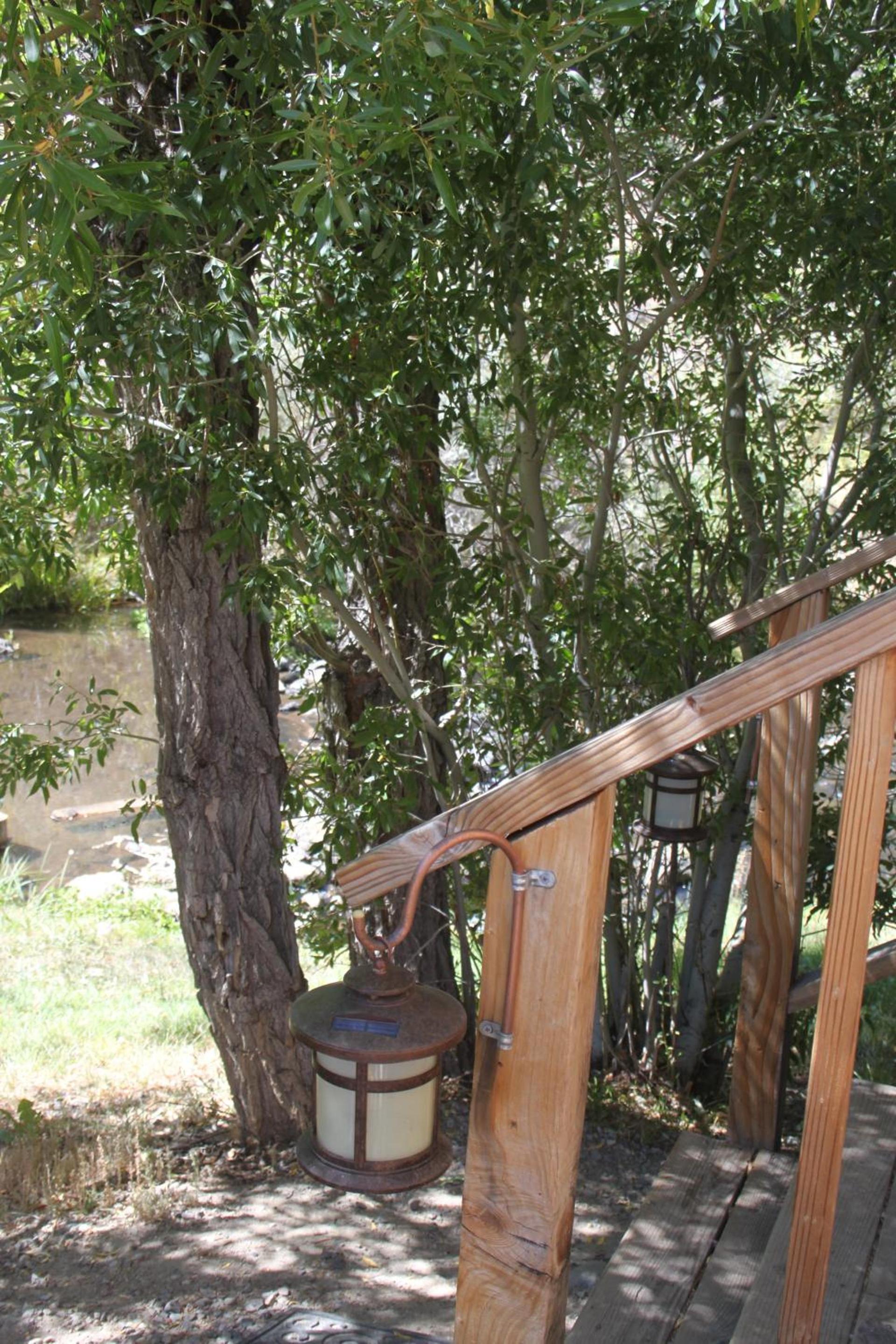 Virginia Creek Settlement photo 18