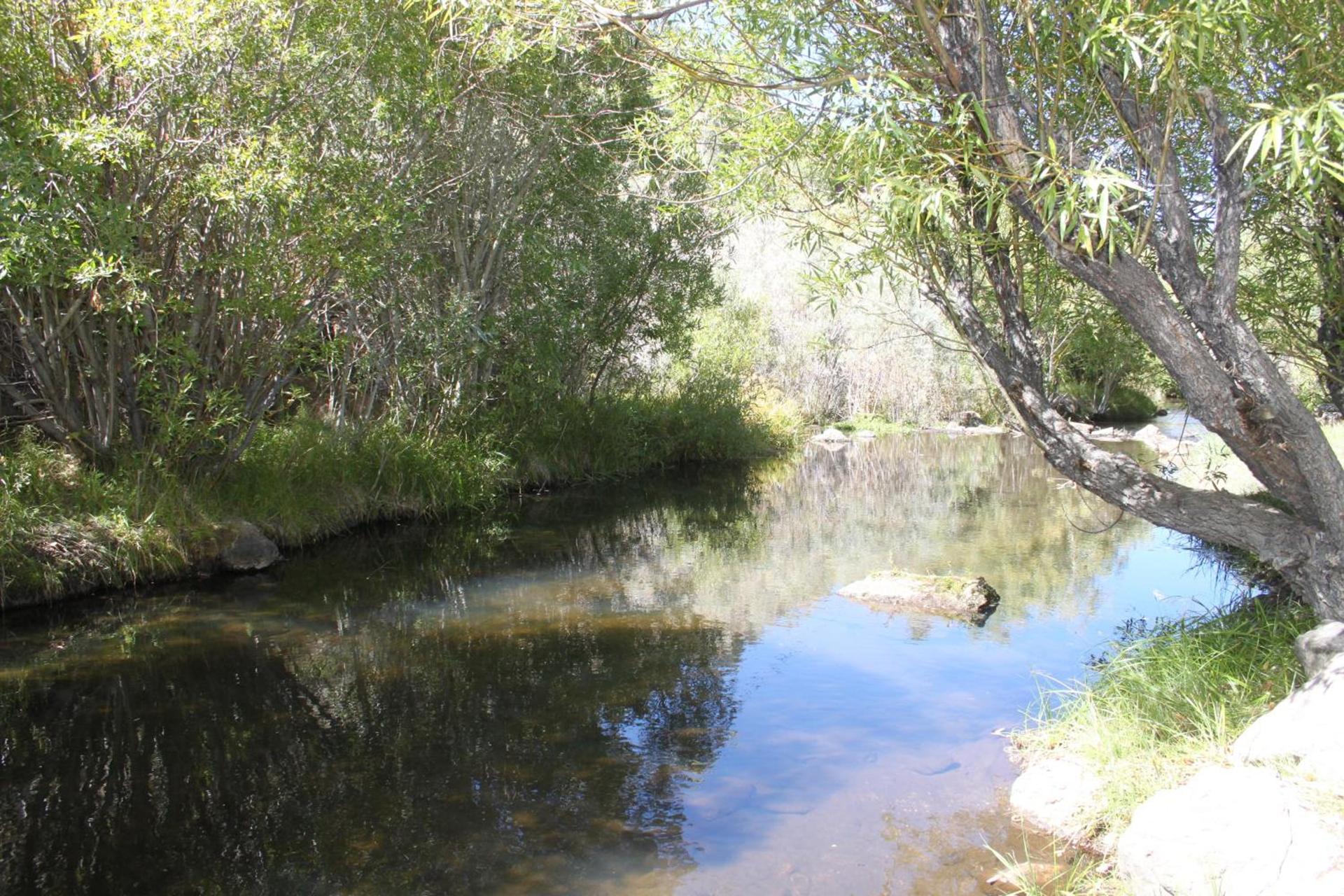 Virginia Creek Settlement photo 13