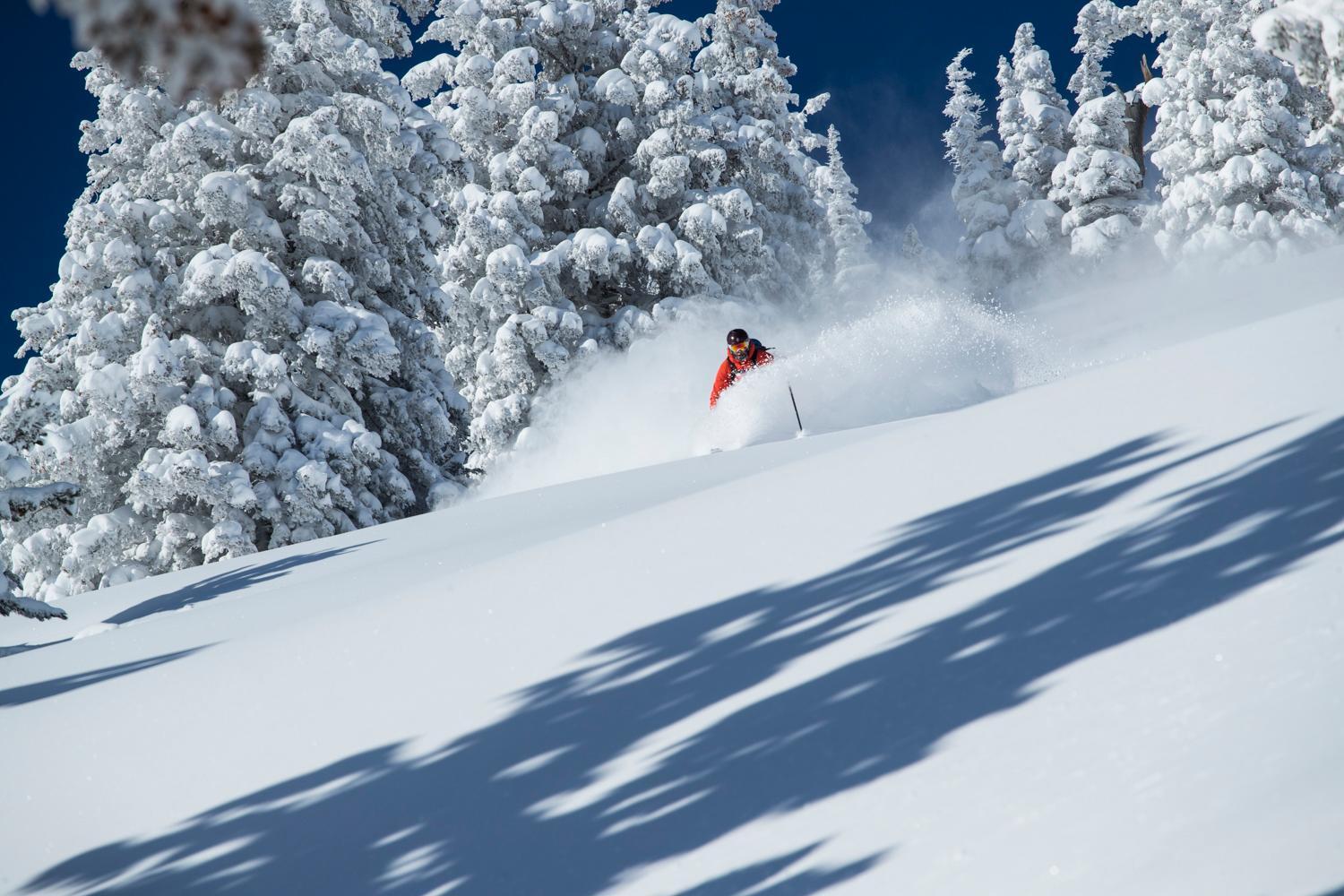 Alta's Rustler Lodge photo 60