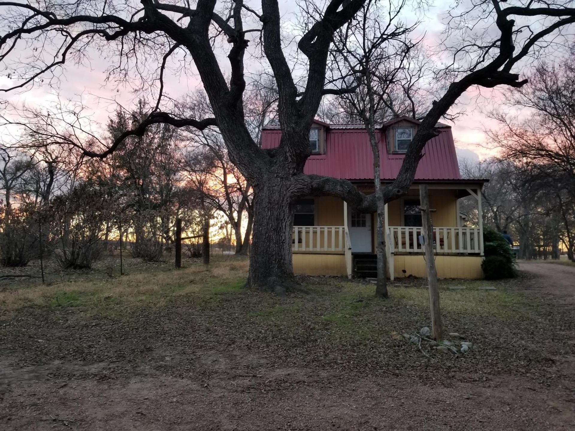 Olive Cabin photo 1