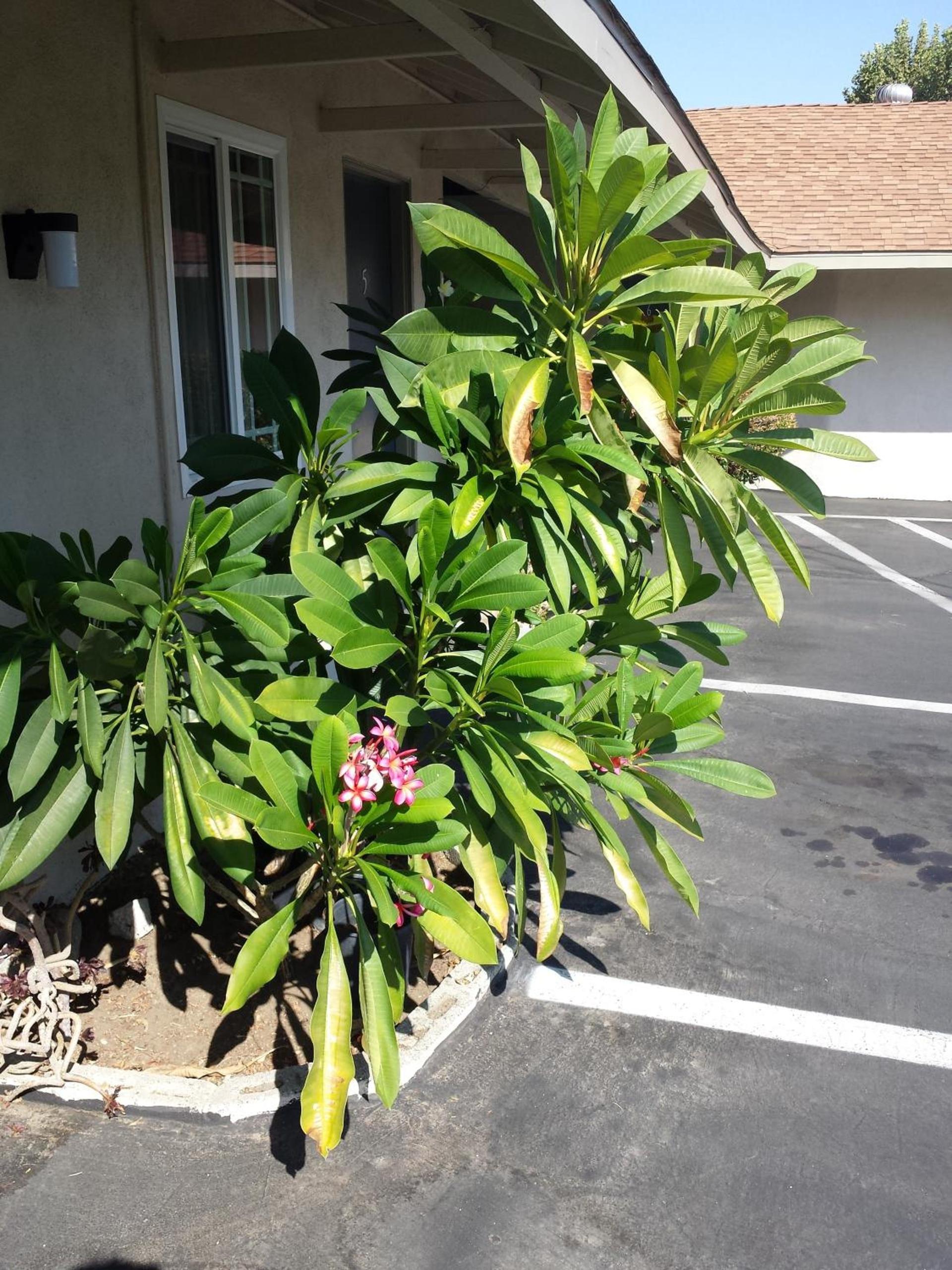 New Kansan Motel photo 17