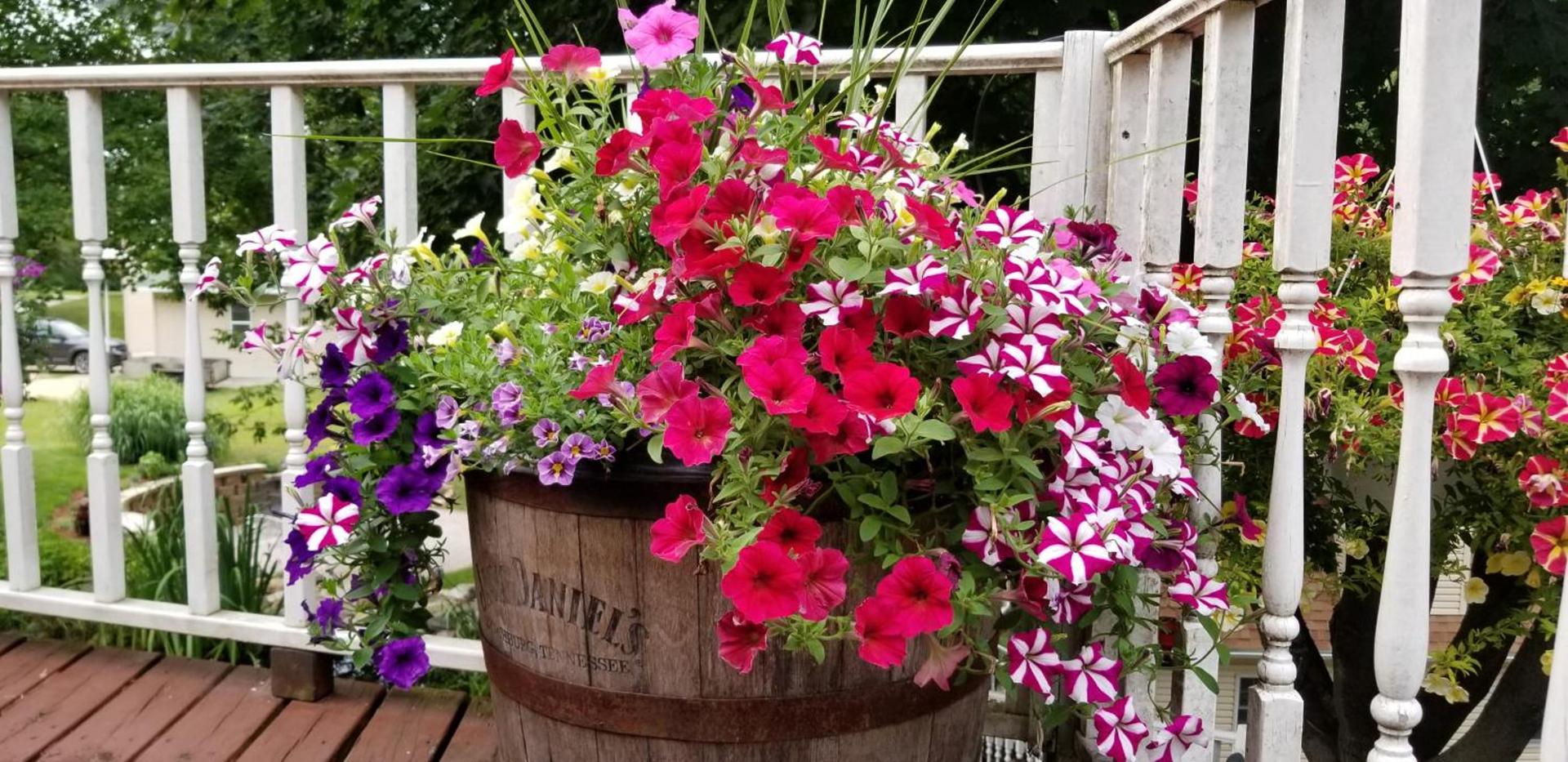 Trickling Waters Retreat photo 54