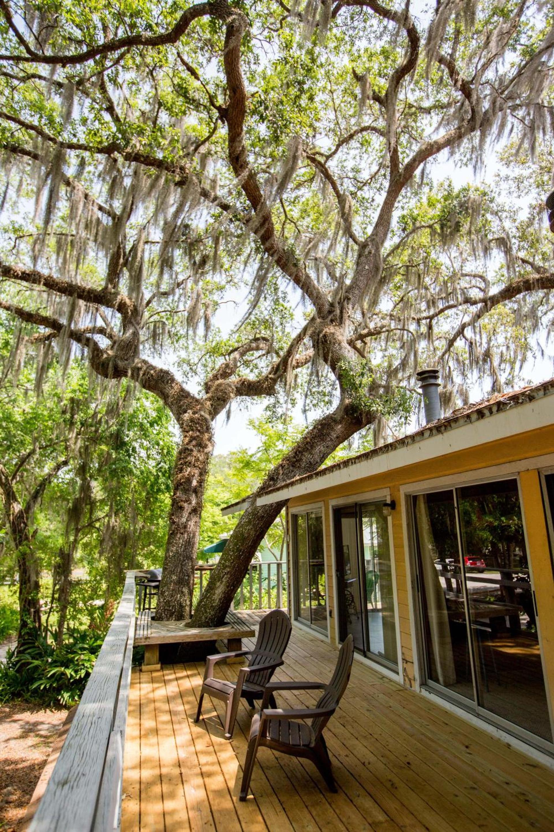 Riverfront Treetop Bungalow photo 4
