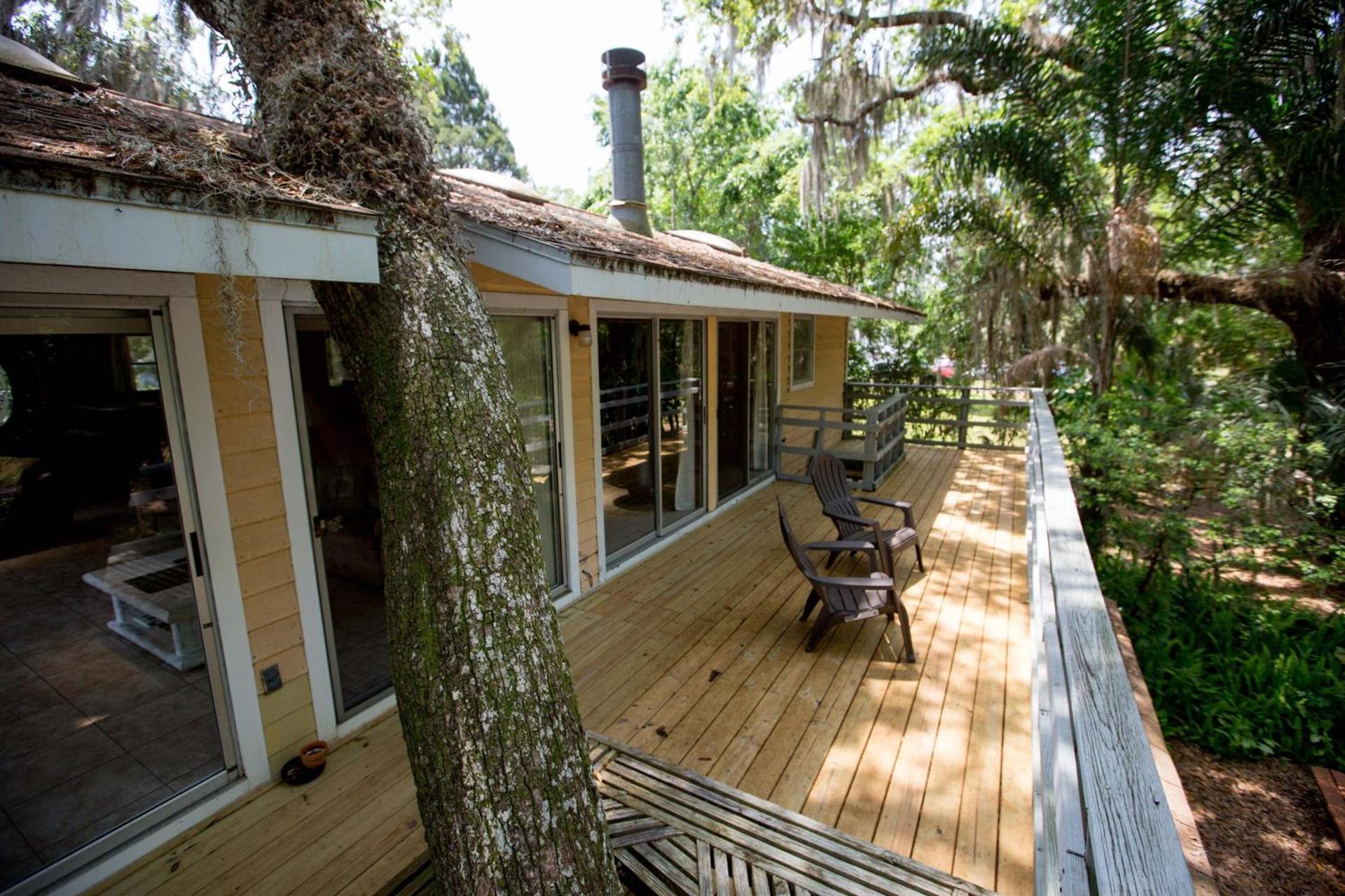 Riverfront Treetop Bungalow photo 1