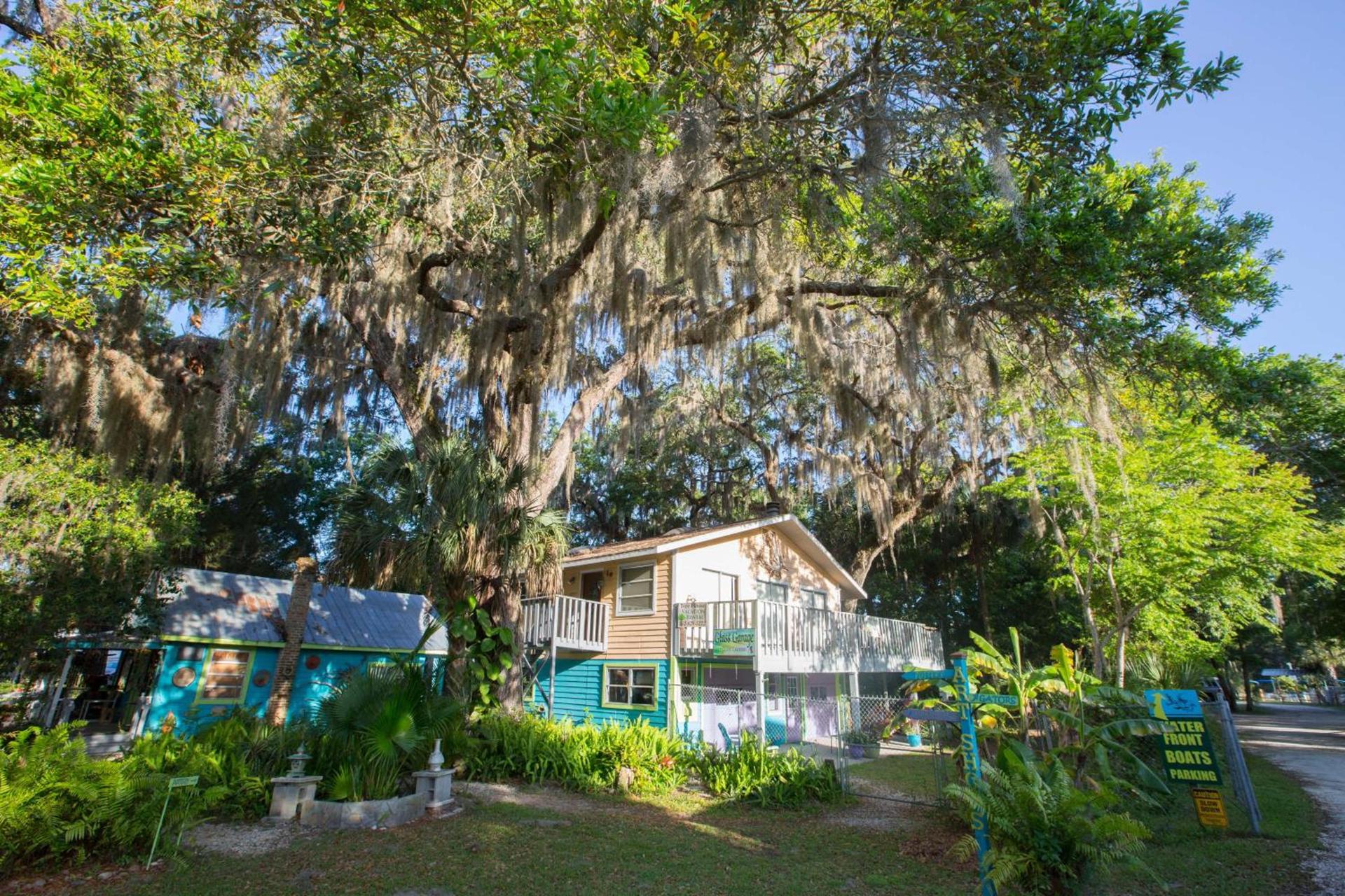Riverfront Treetop Bungalow photo 21