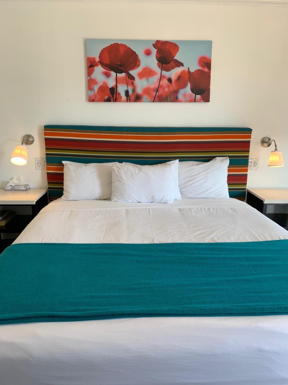 Sandyland Reef Inn photo 3