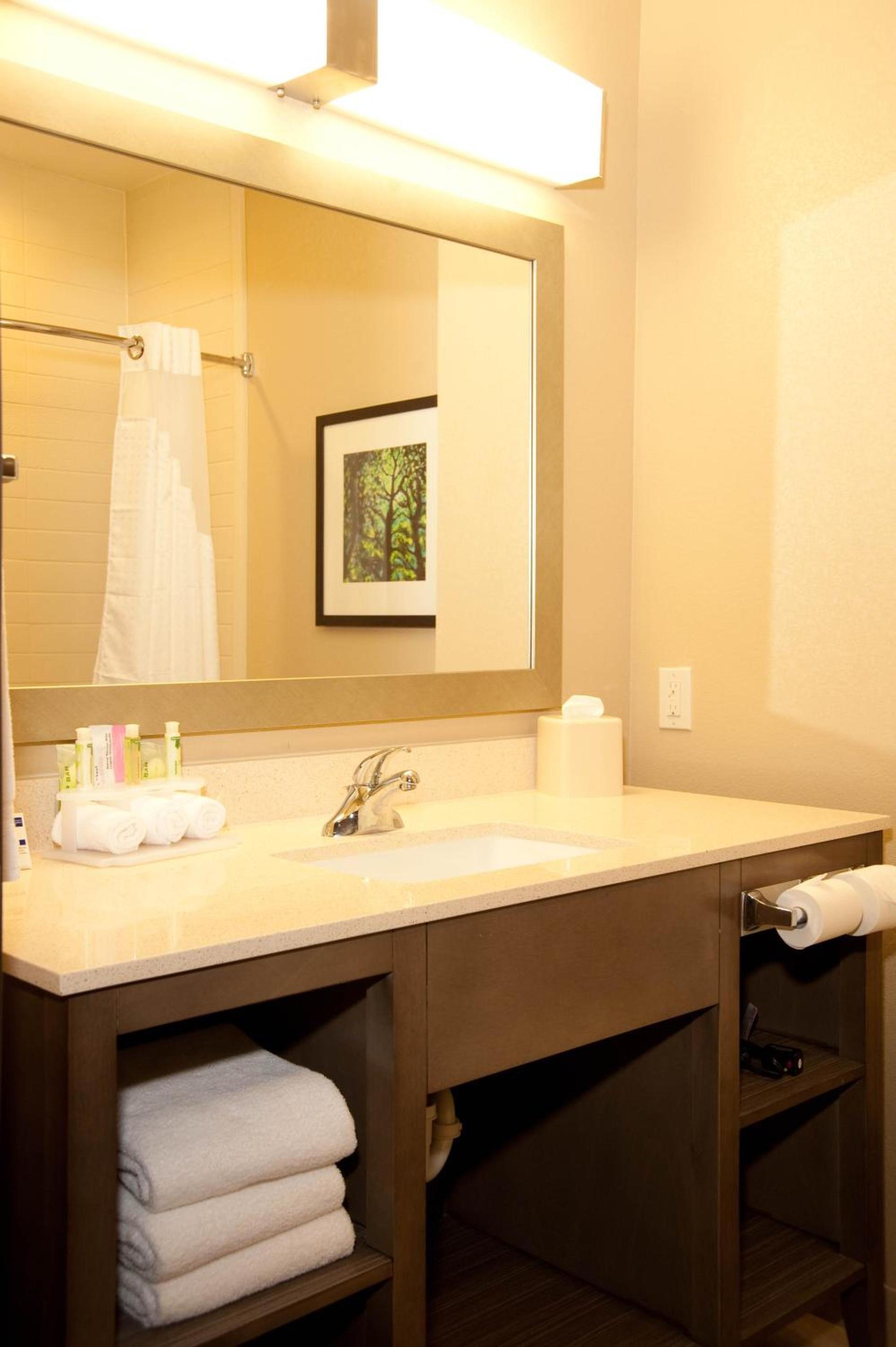 Holiday Inn Express and Suites Schulenburg by IHG photo 4