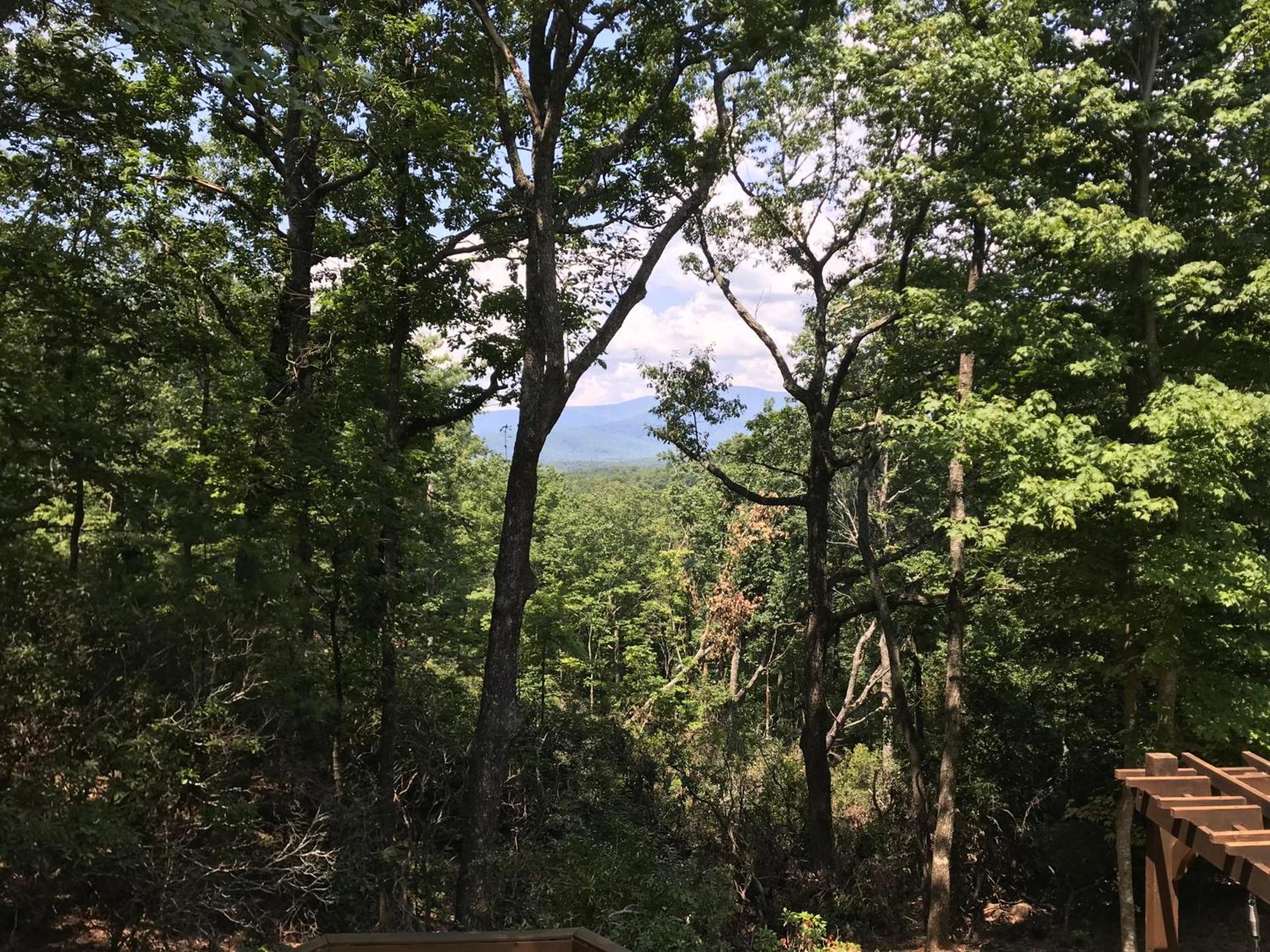 Barefoot Hills photo 40