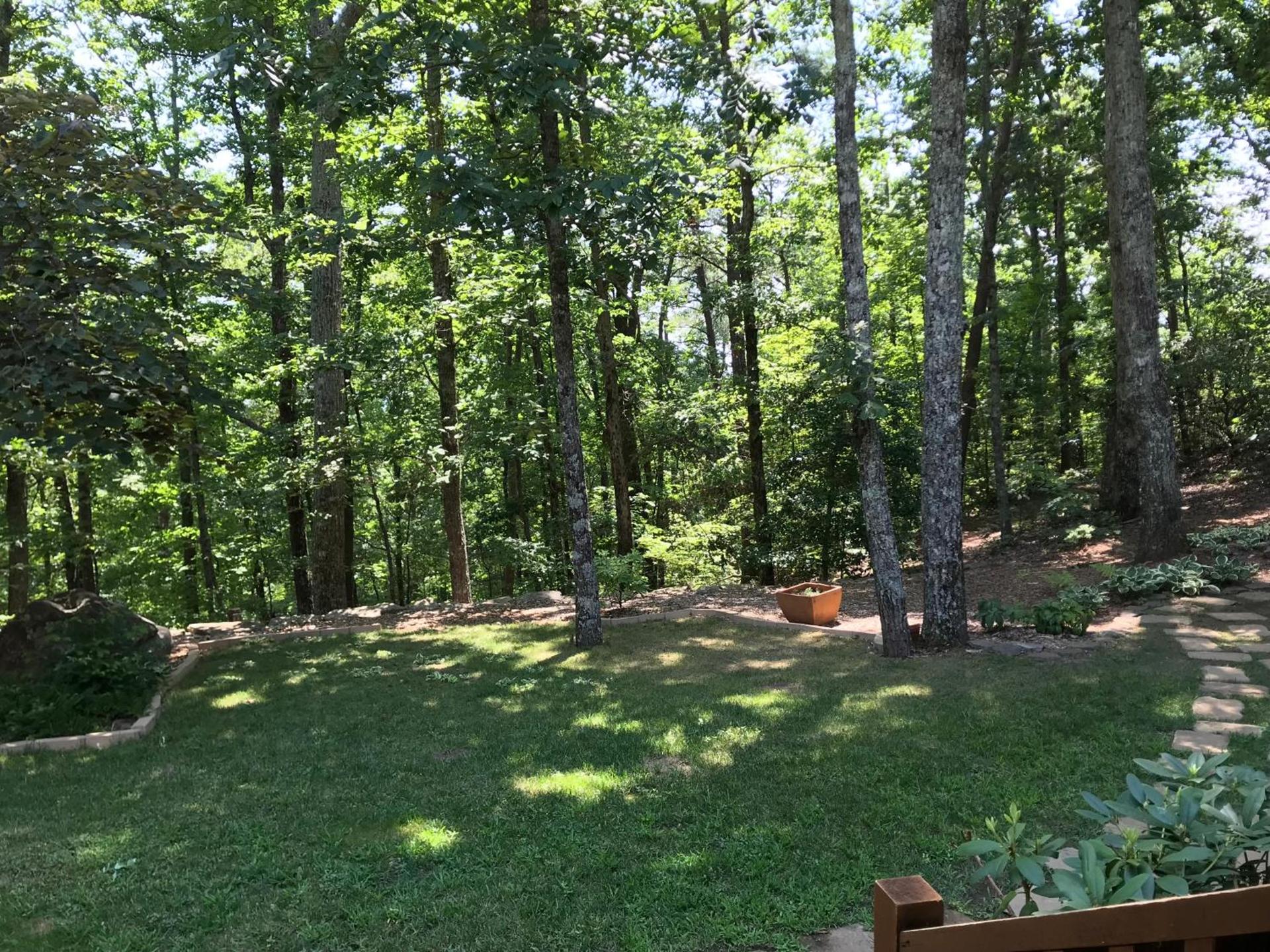 Barefoot Hills photo 46