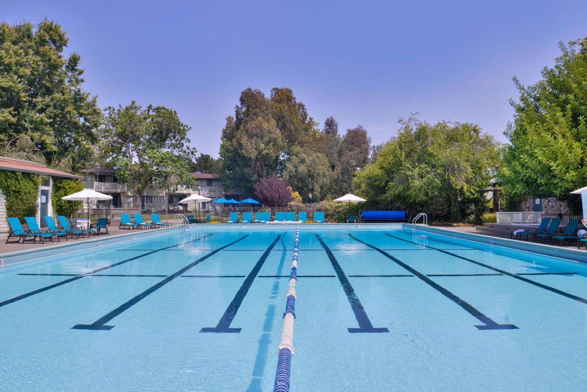 Best Western Corte Madera Inn photo 12