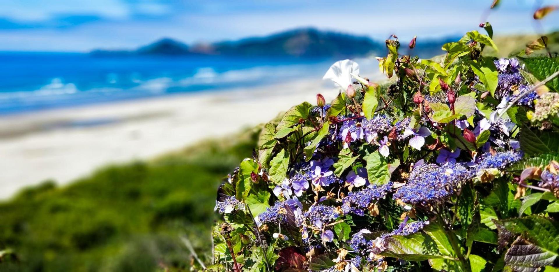 Nye Beach Cottages photo 25