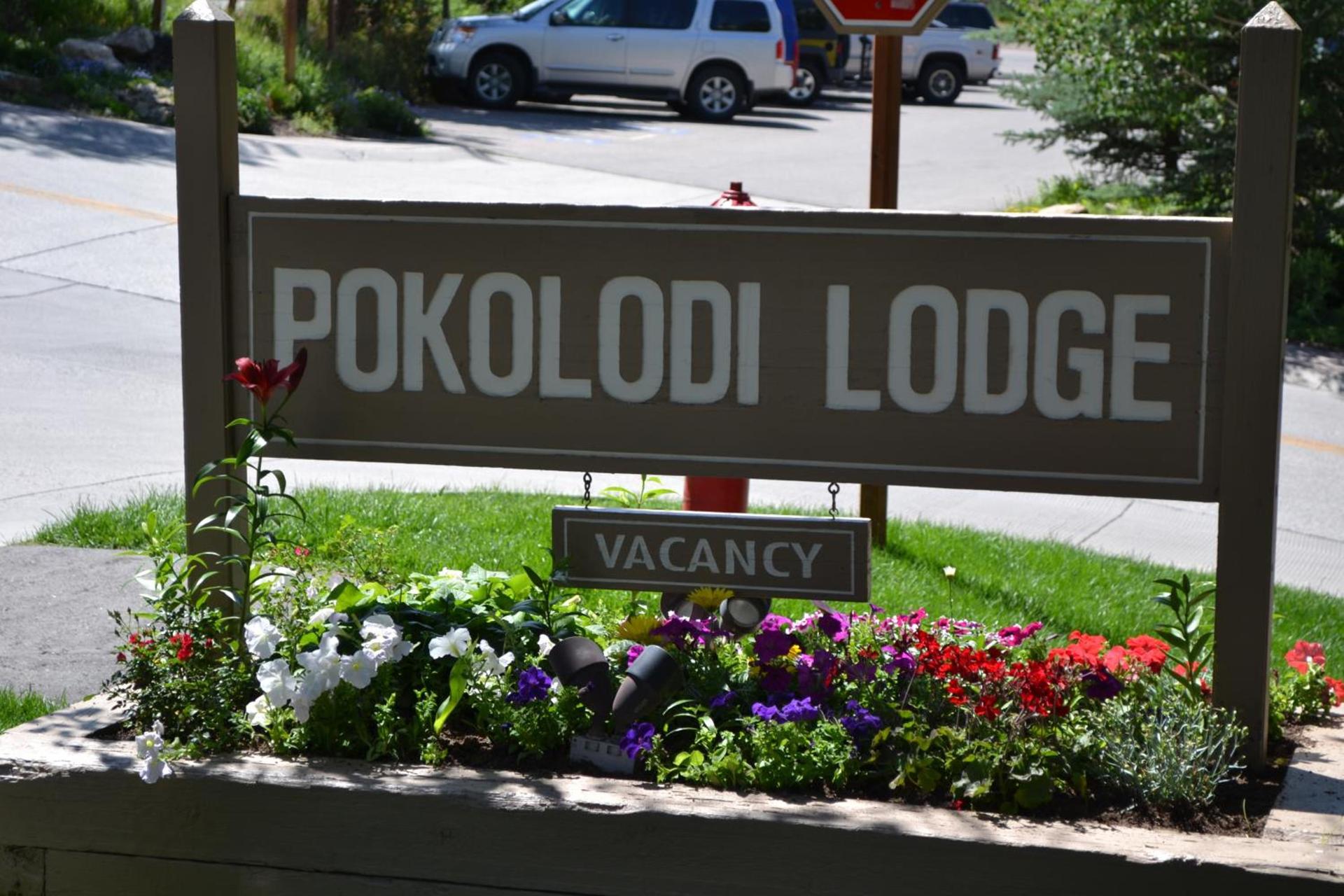 Pokolodi Lodge photo 69