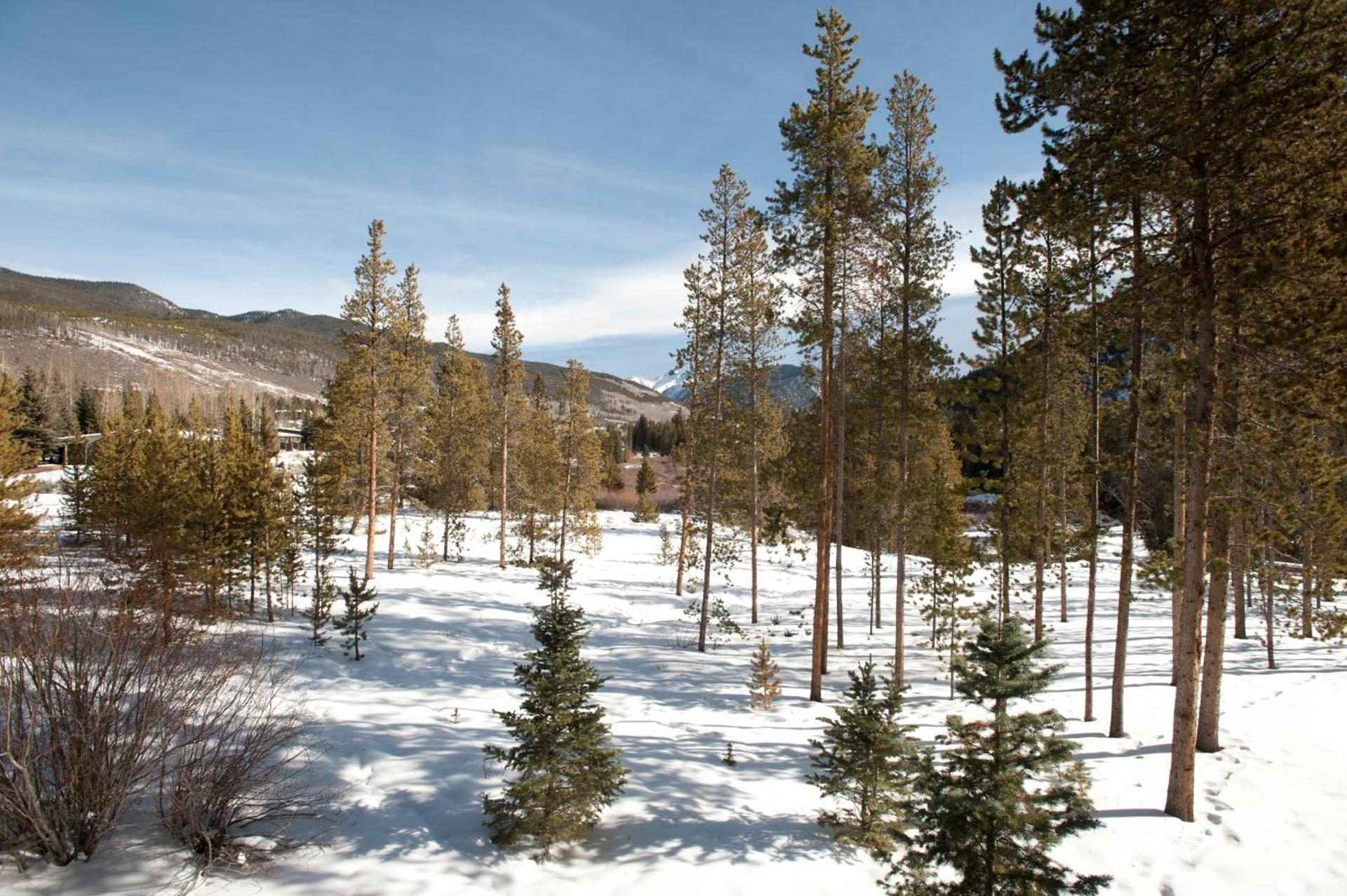 Evergreen Condominiums by Vail Resorts photo 32