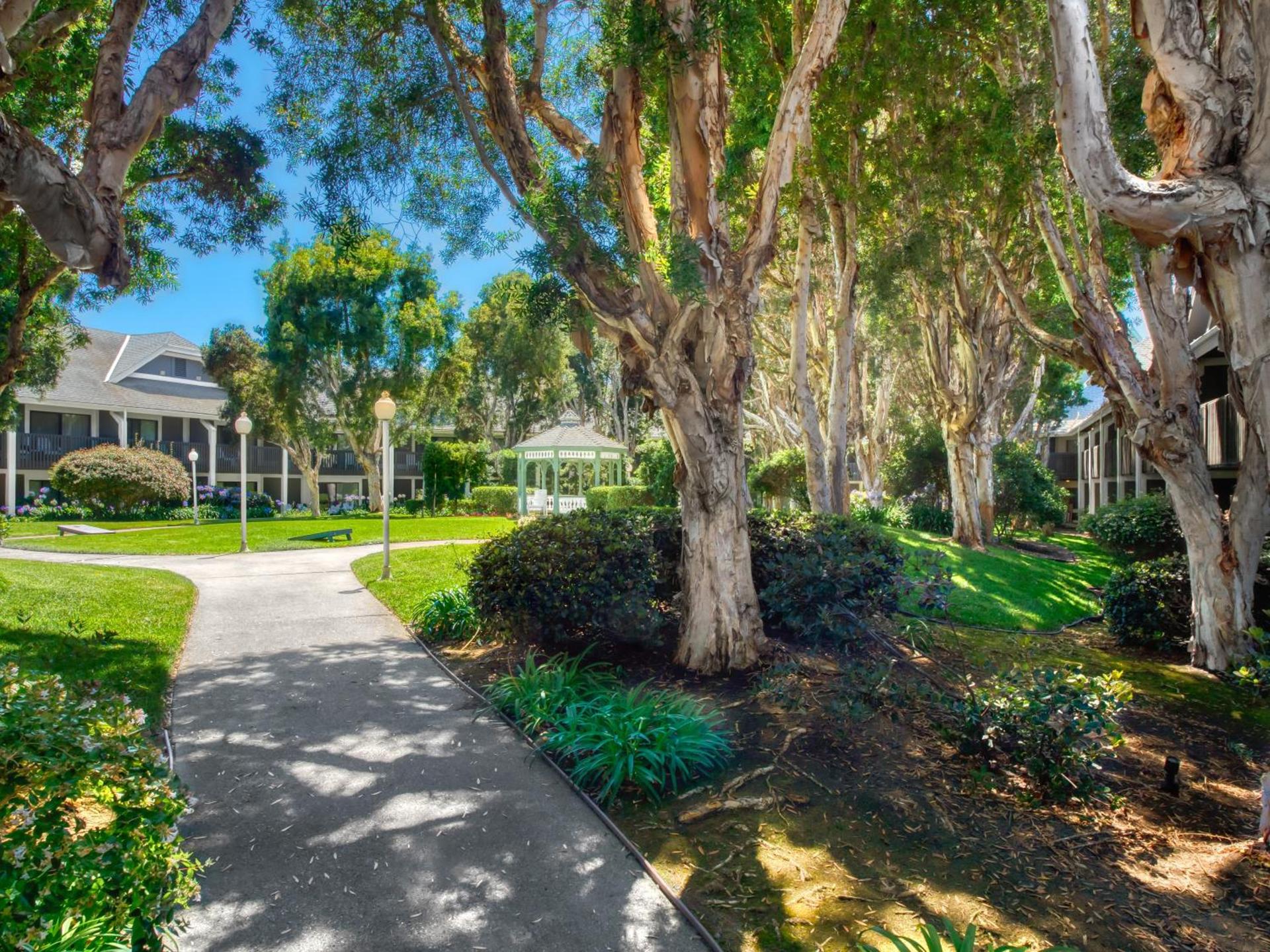Carlsbad by the Sea Hotel, Carlsbad, Series By Marriott photo 32