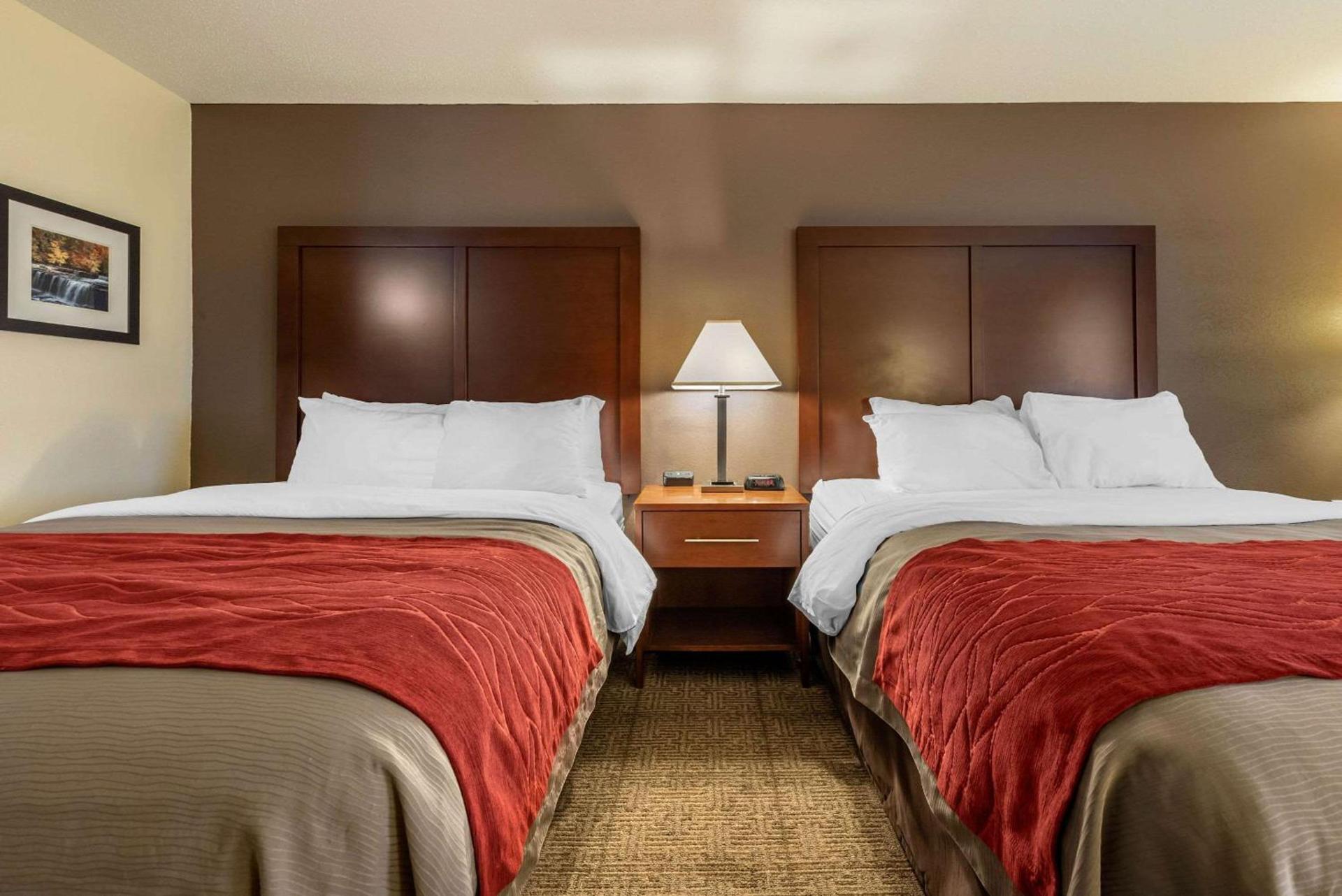 Comfort Inn Warren I-69 photo 13