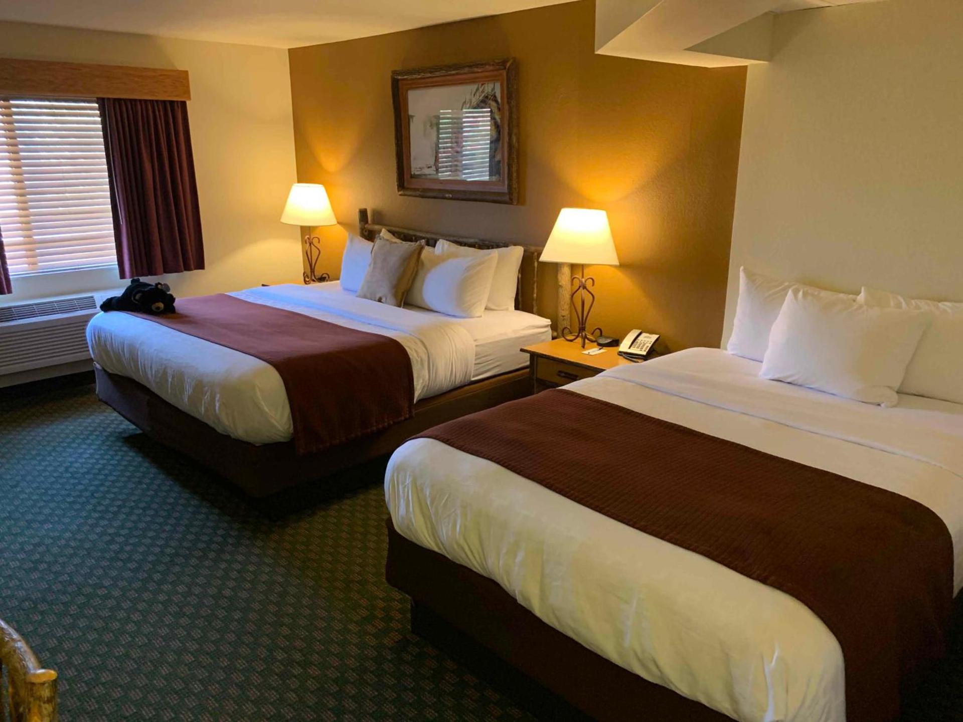 AmericInn by Wyndham Cody photo 12