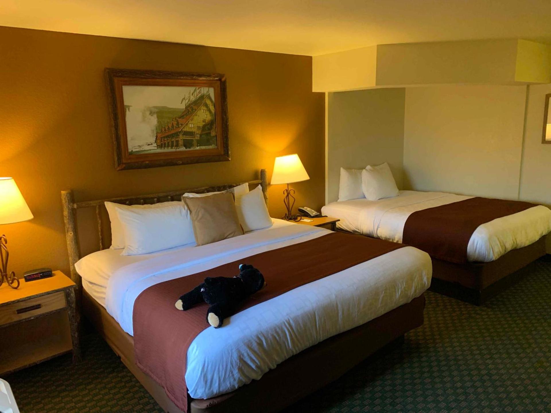 AmericInn by Wyndham Cody photo 15