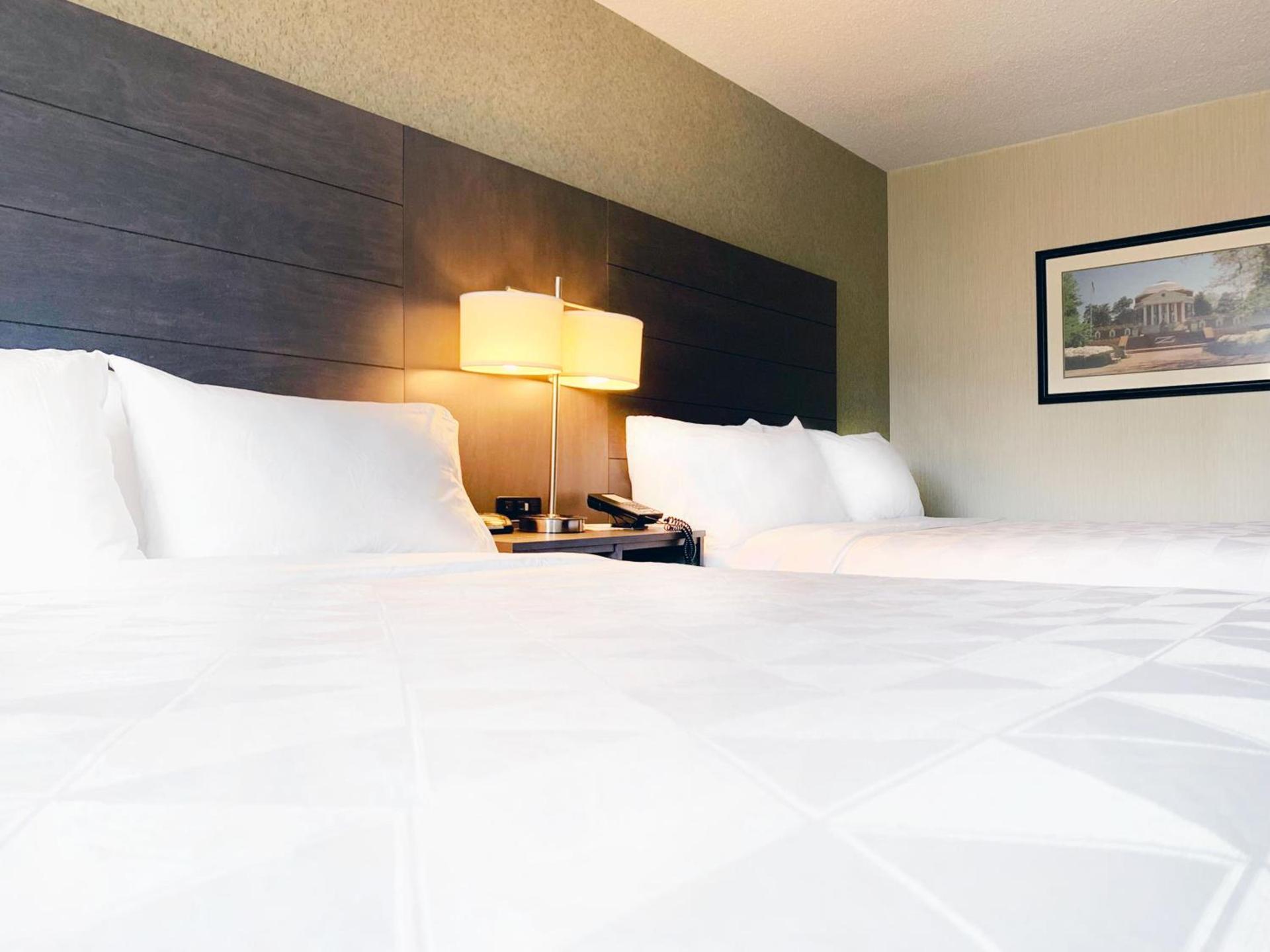 Holiday Inn University Area Charlottesville by IHG photo 6