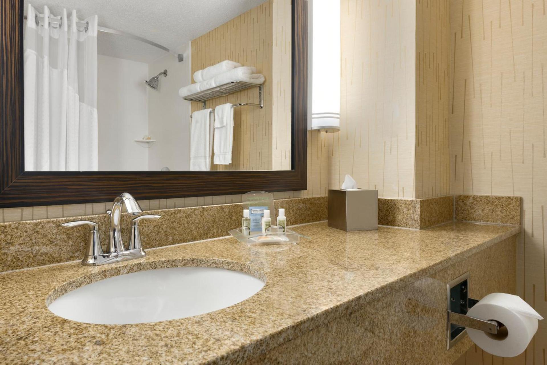 Holiday Inn & Suites Duluth-Downtown by IHG photo 32