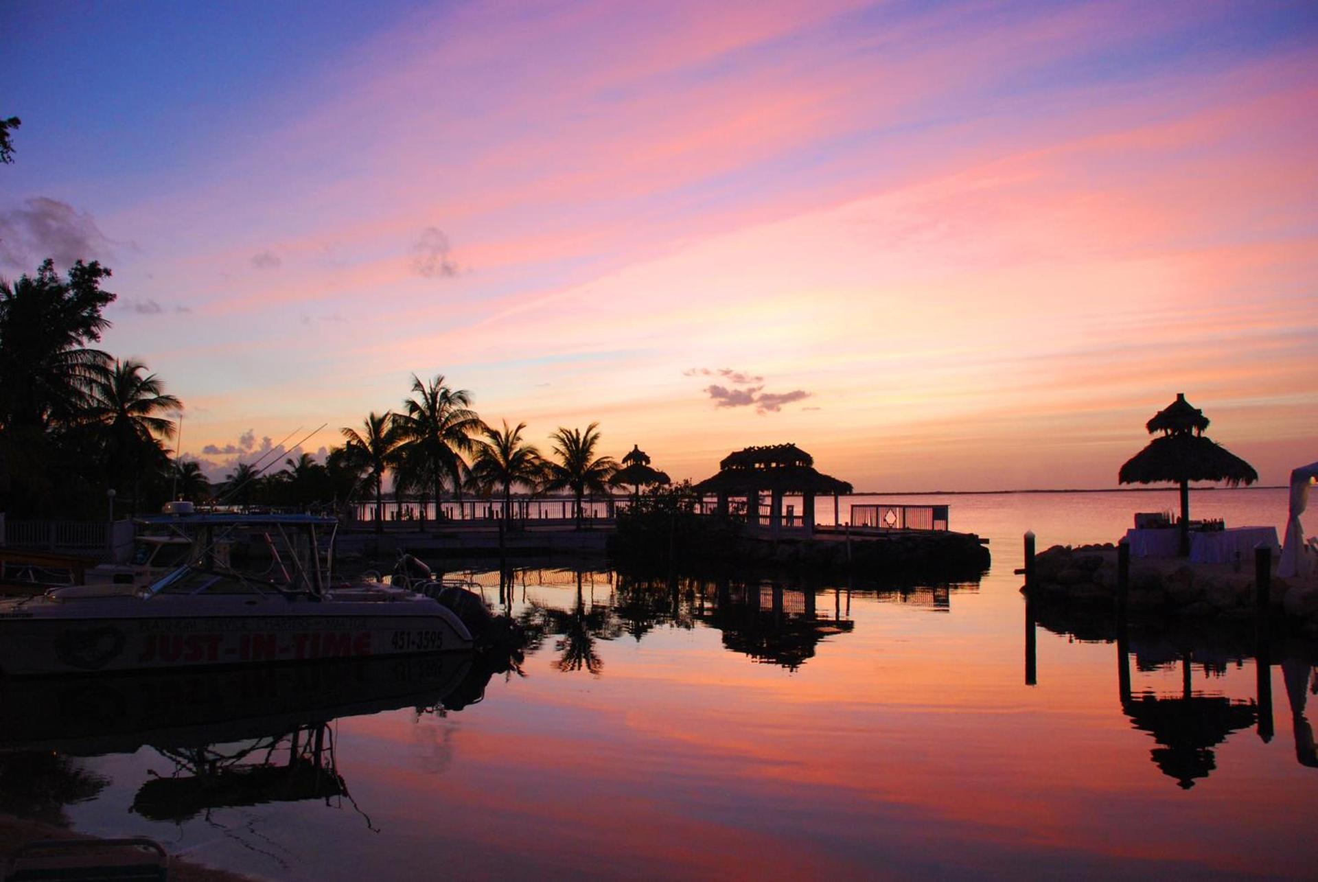 Amoray Dive Resort photo 95