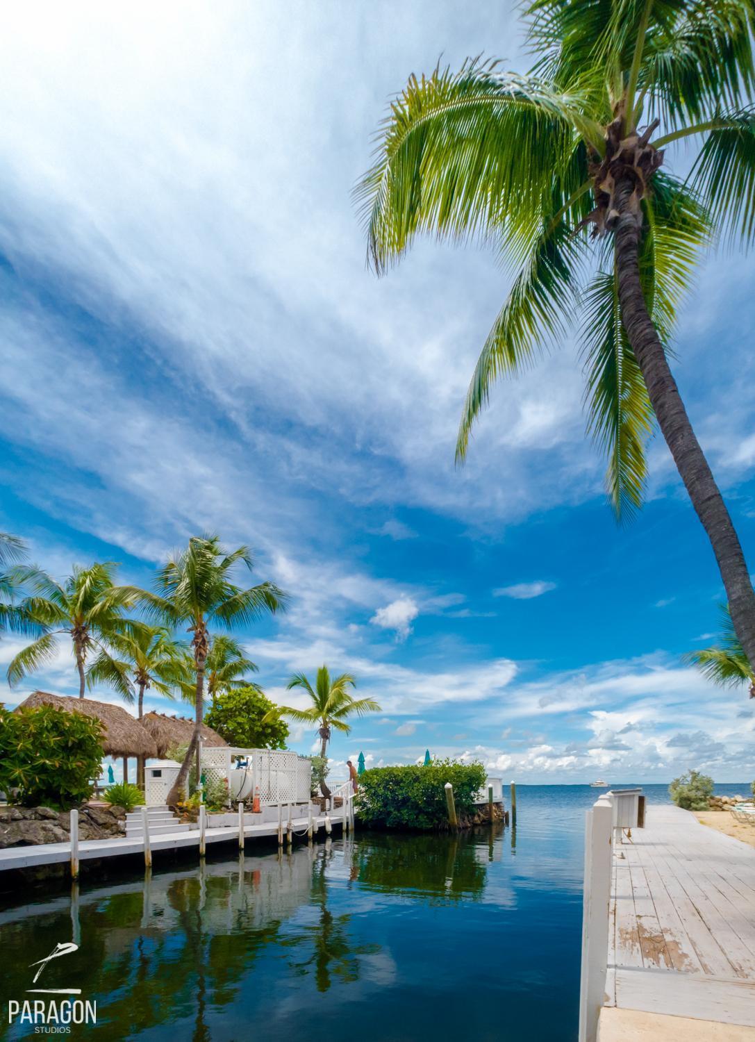 Amoray Dive Resort photo 32