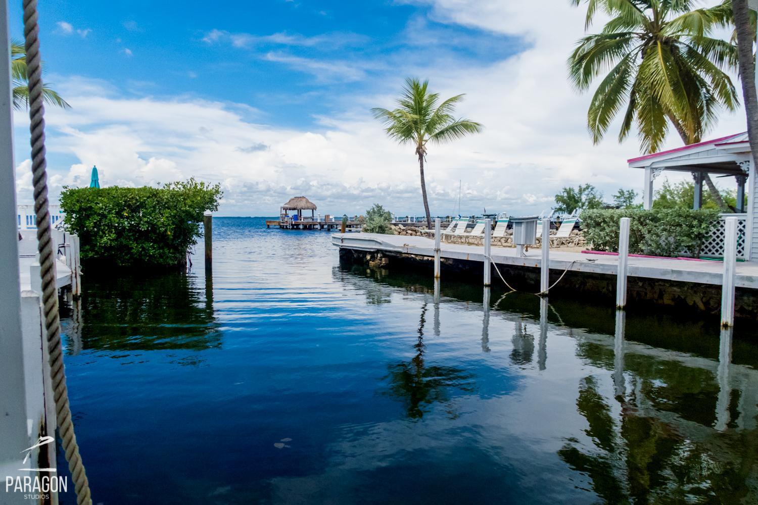 Amoray Dive Resort photo 33