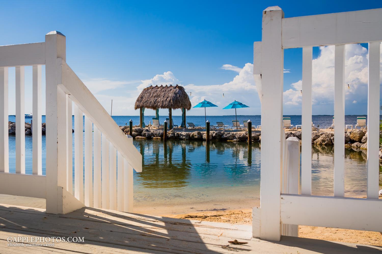 Amoray Dive Resort photo 34