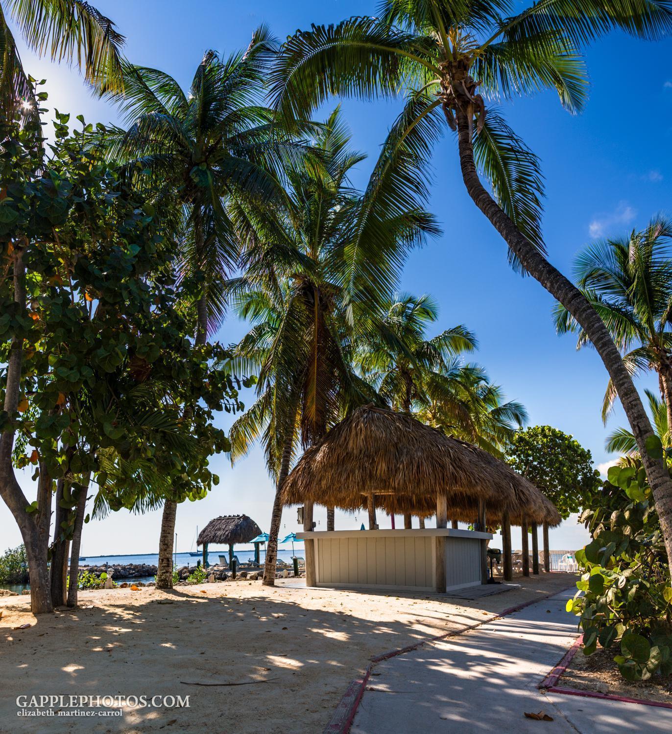 Amoray Dive Resort photo 36