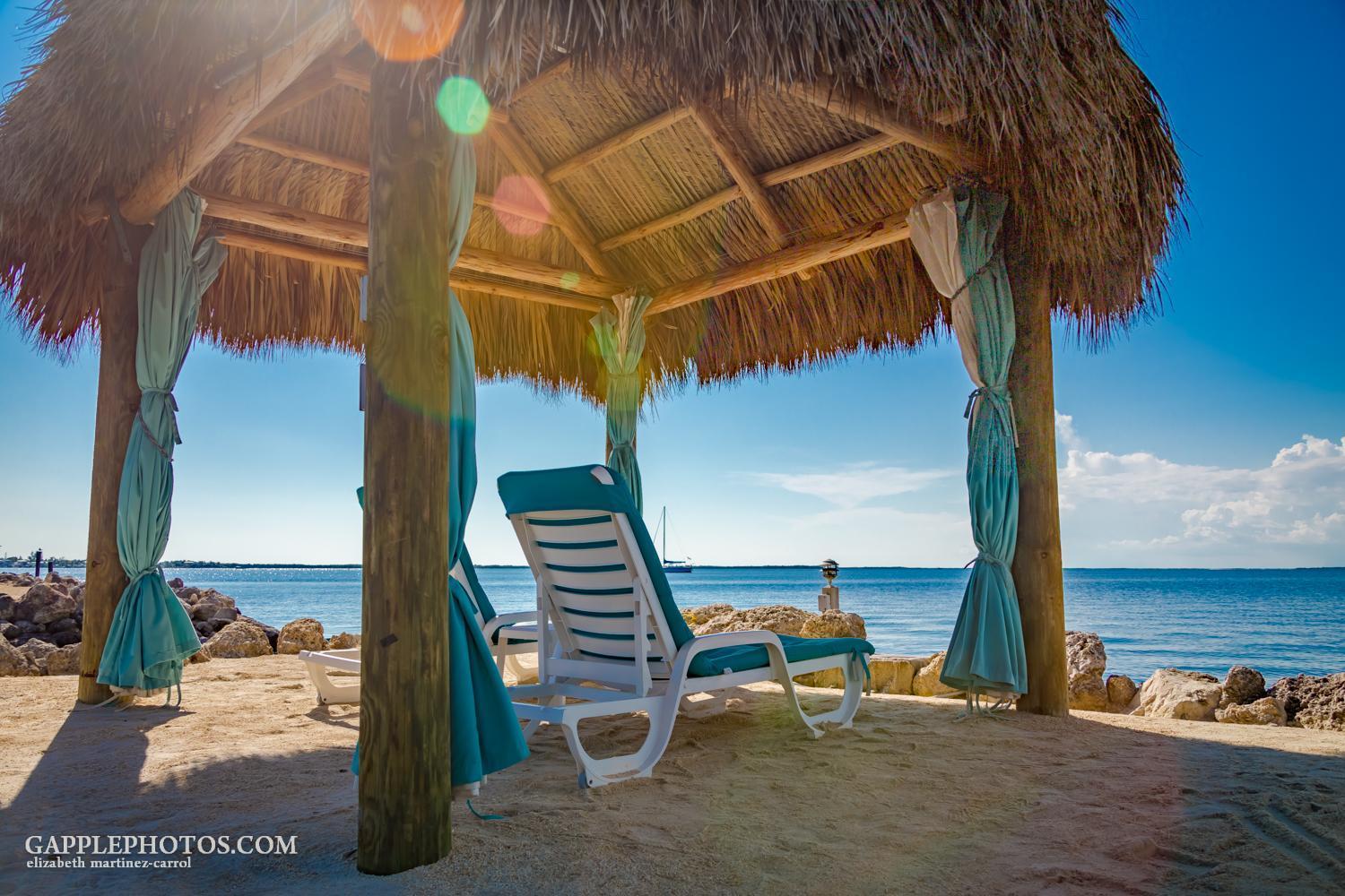 Amoray Dive Resort photo 37