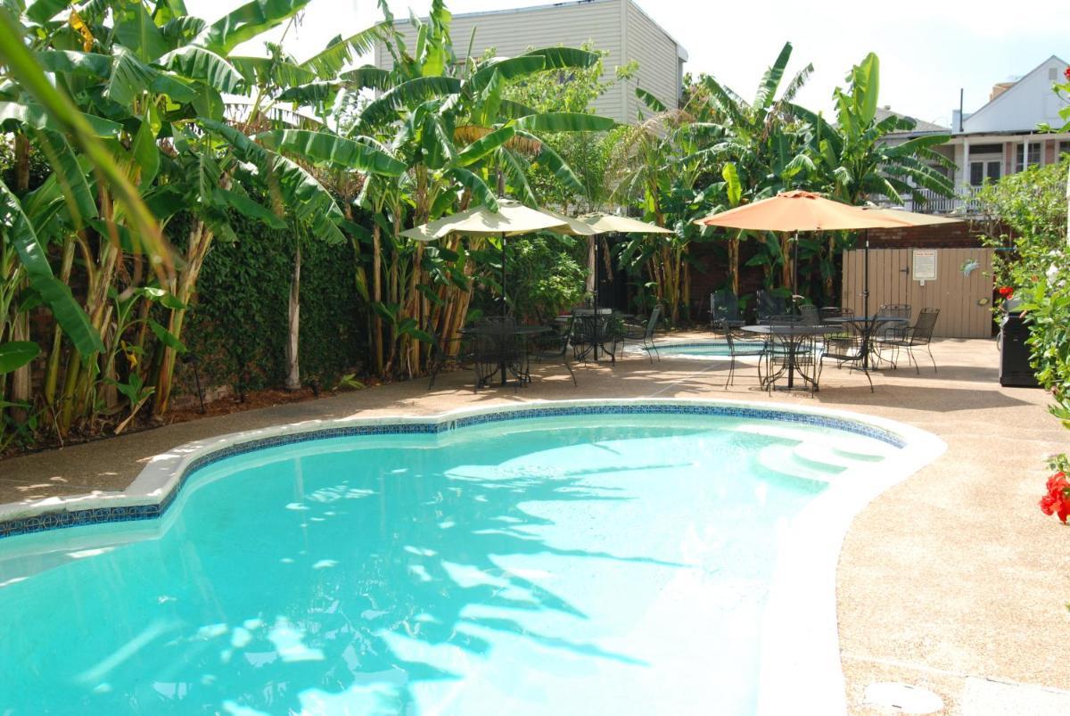 Frenchmen Orleans at 519, Ascend Hotel Collection photo 15