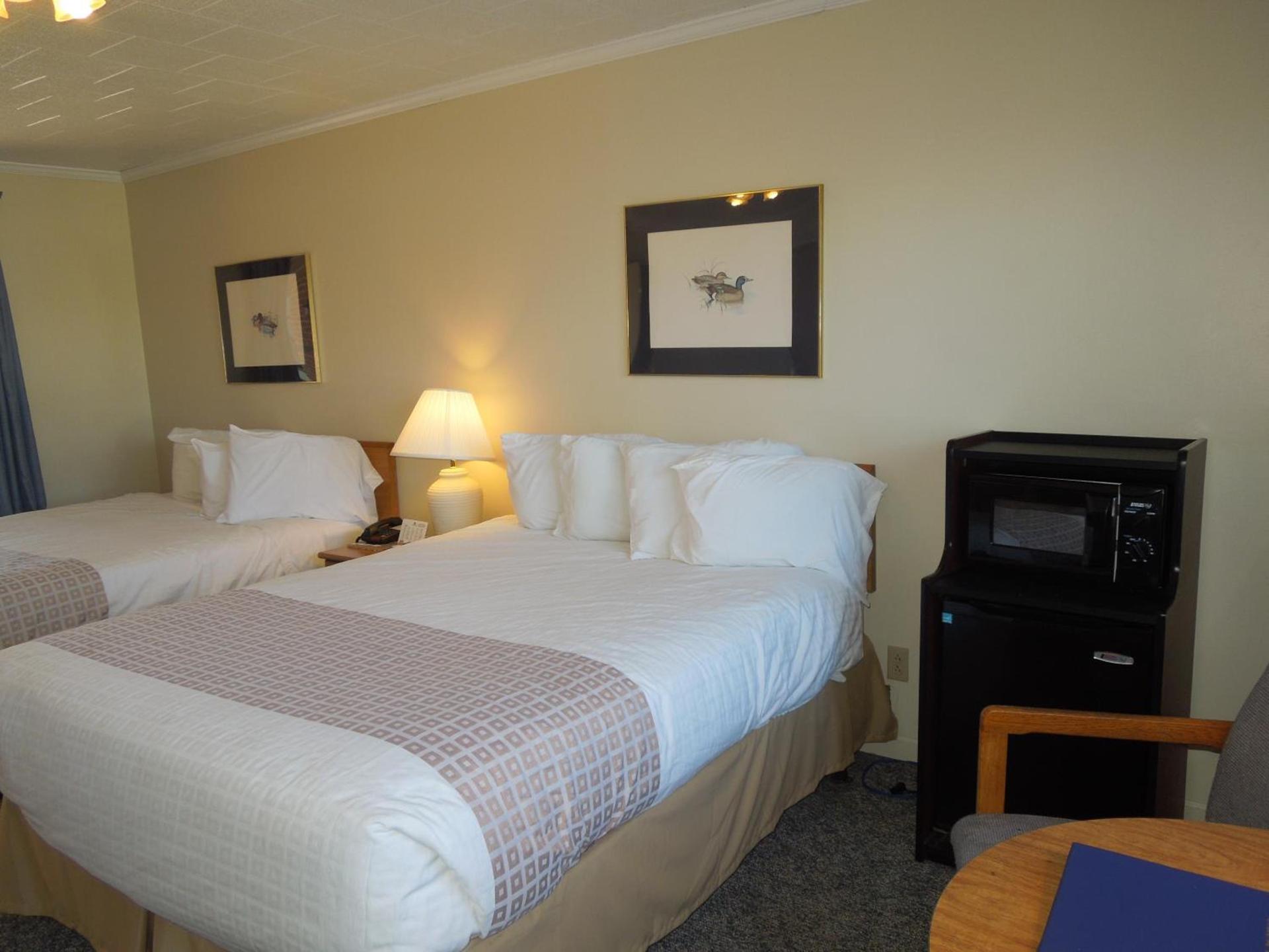 Arlington Inn photo 9