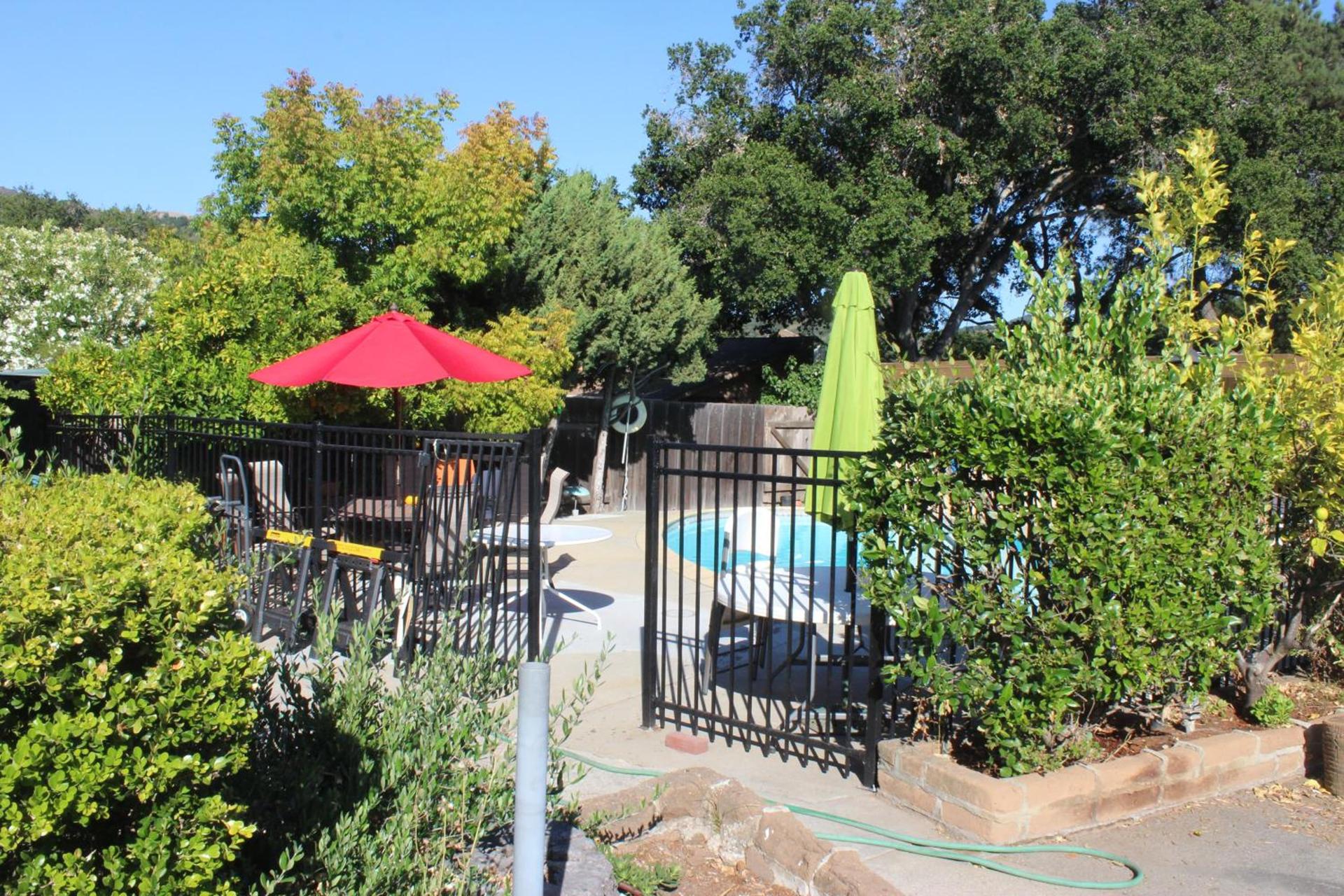 Little European Lodge photo 28