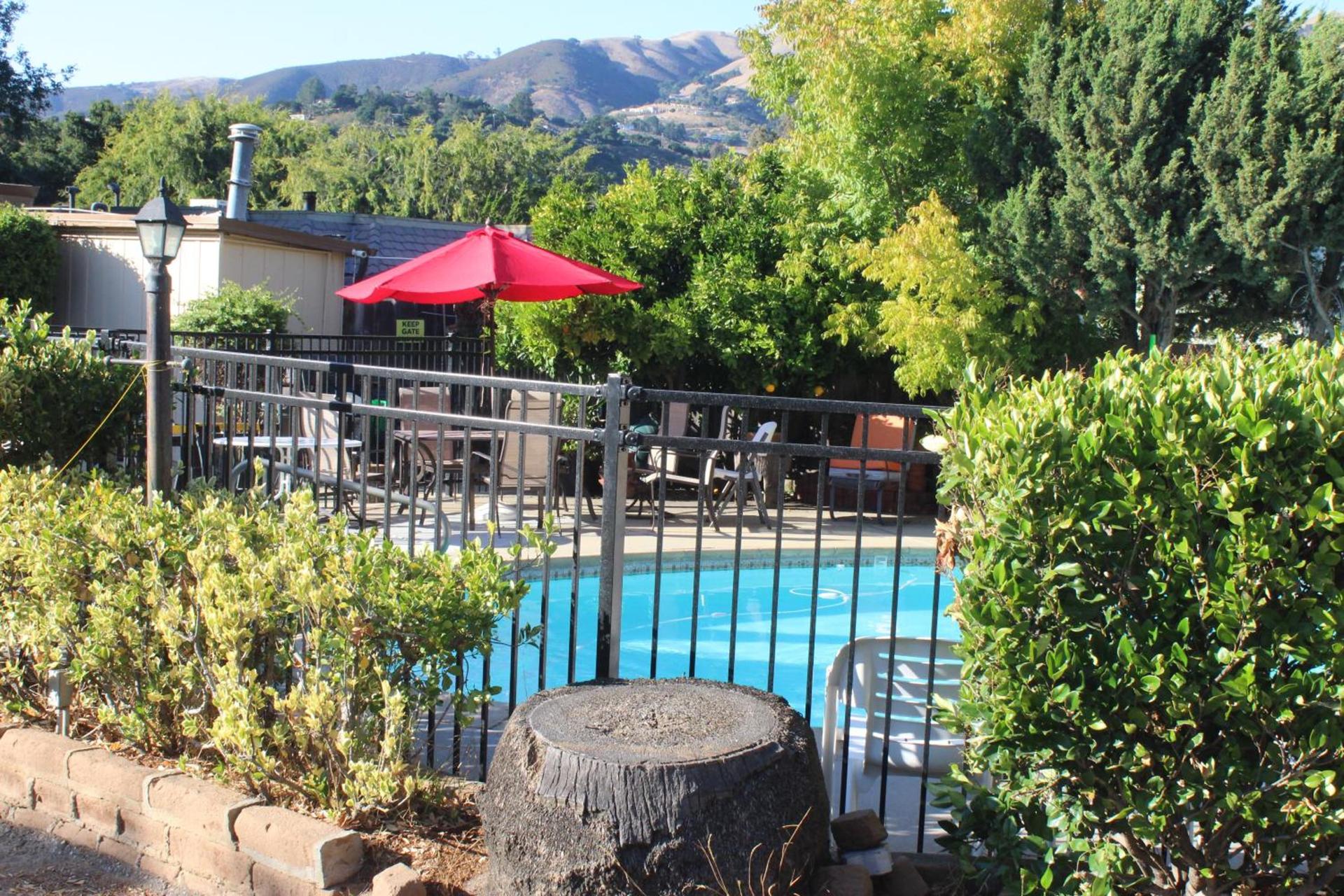 Little European Lodge photo 2