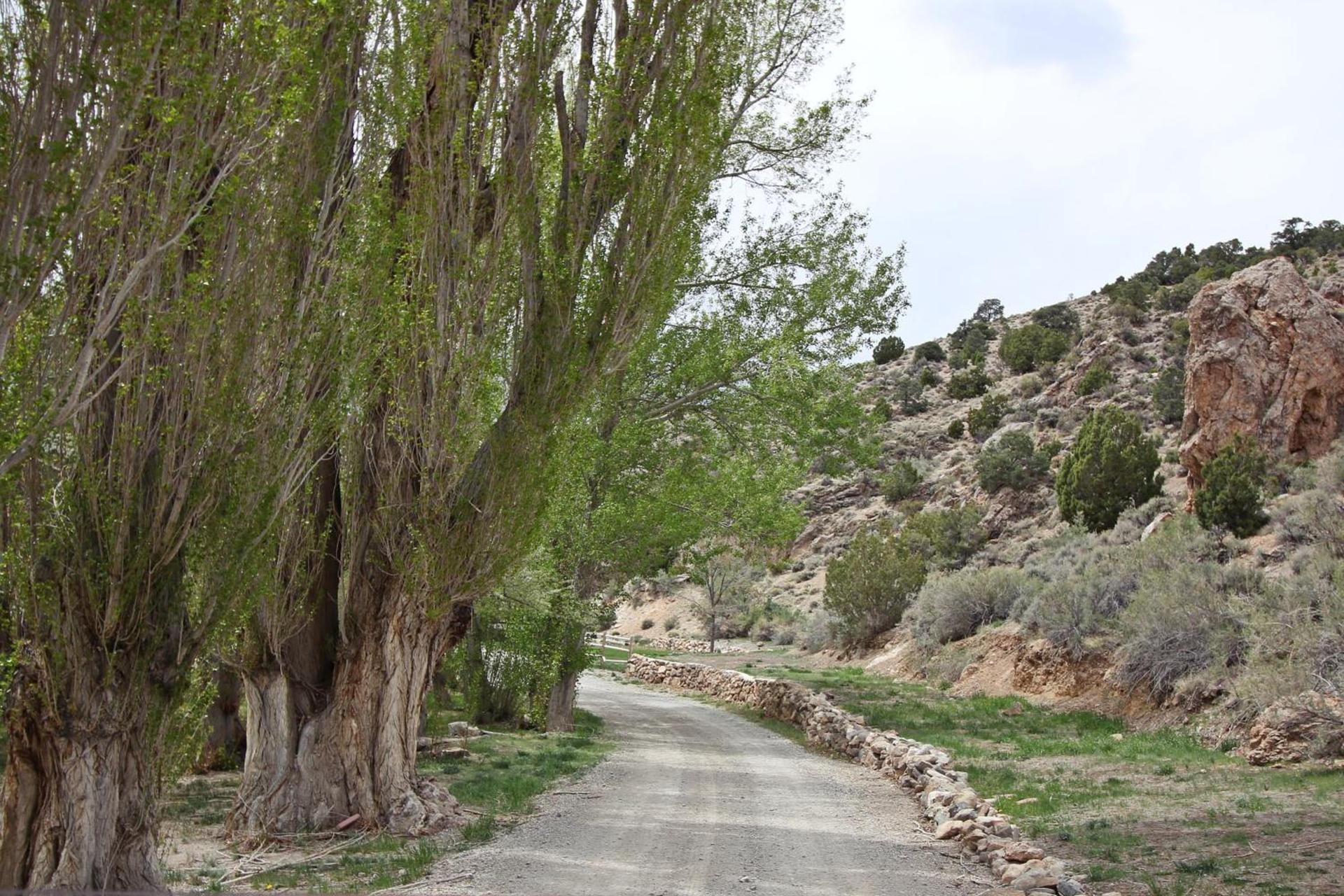 Hidden Canyon Retreat photo 33