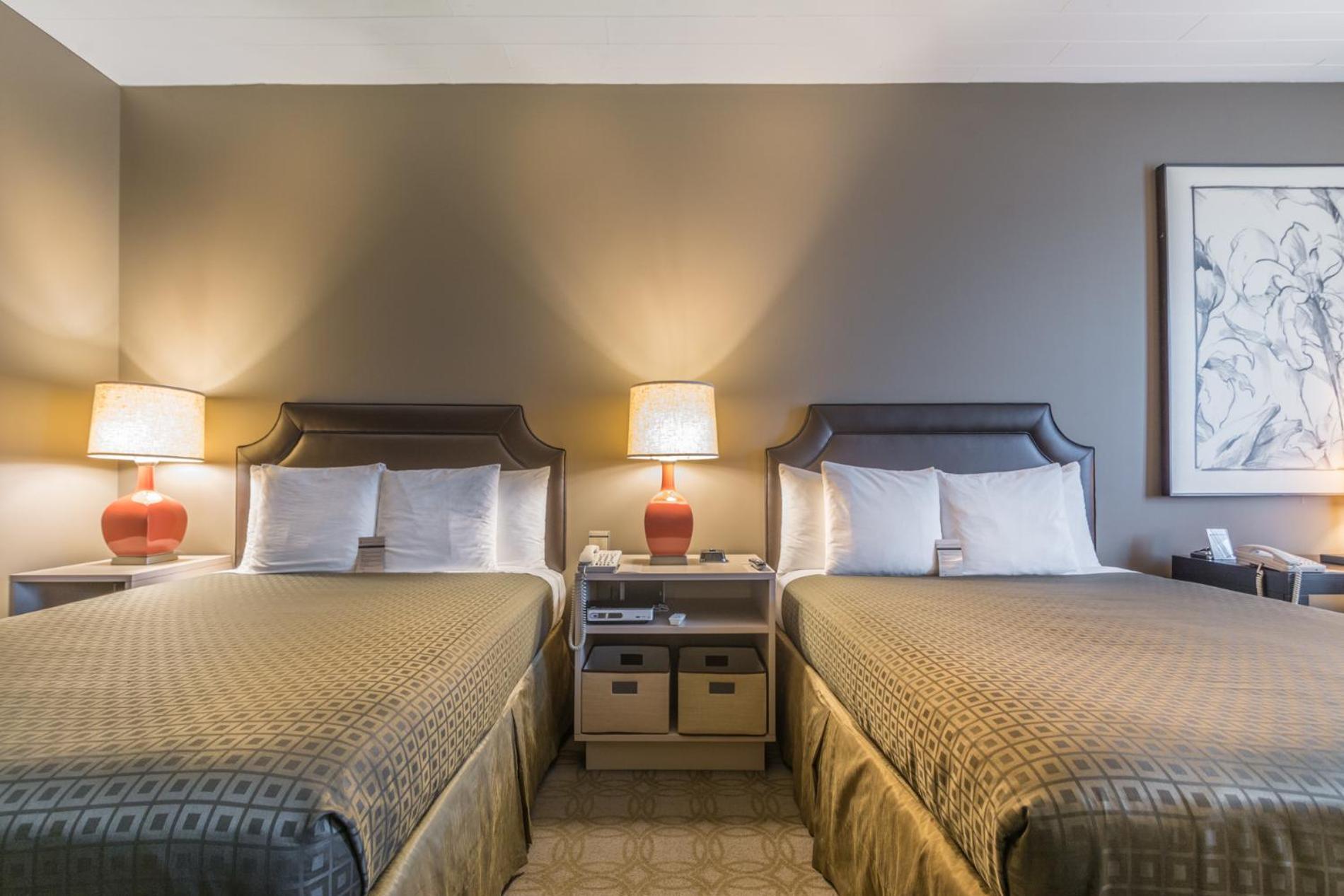 Proximity Hotel photo 2