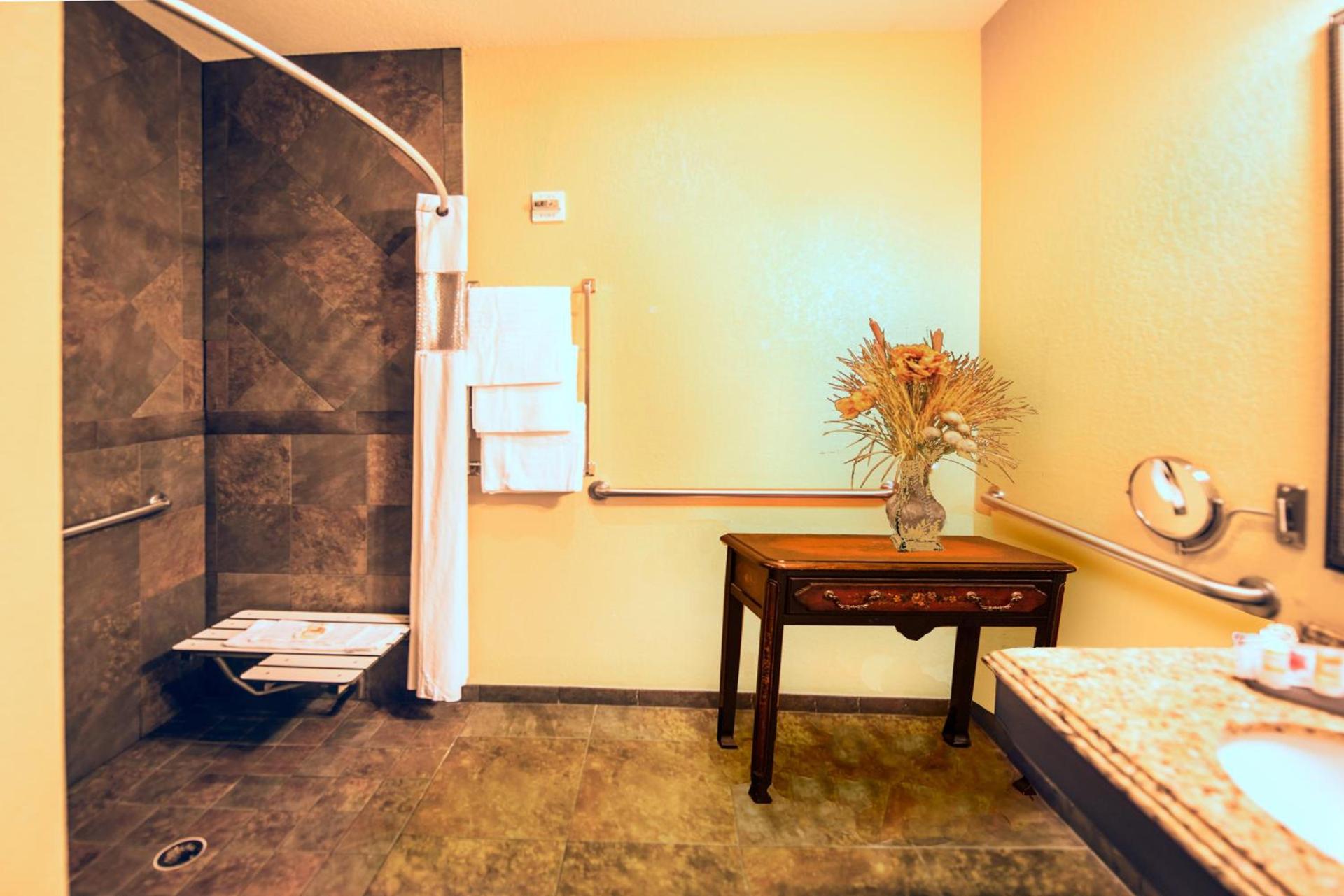 La Quinta by Wyndham Marble Falls photo 26